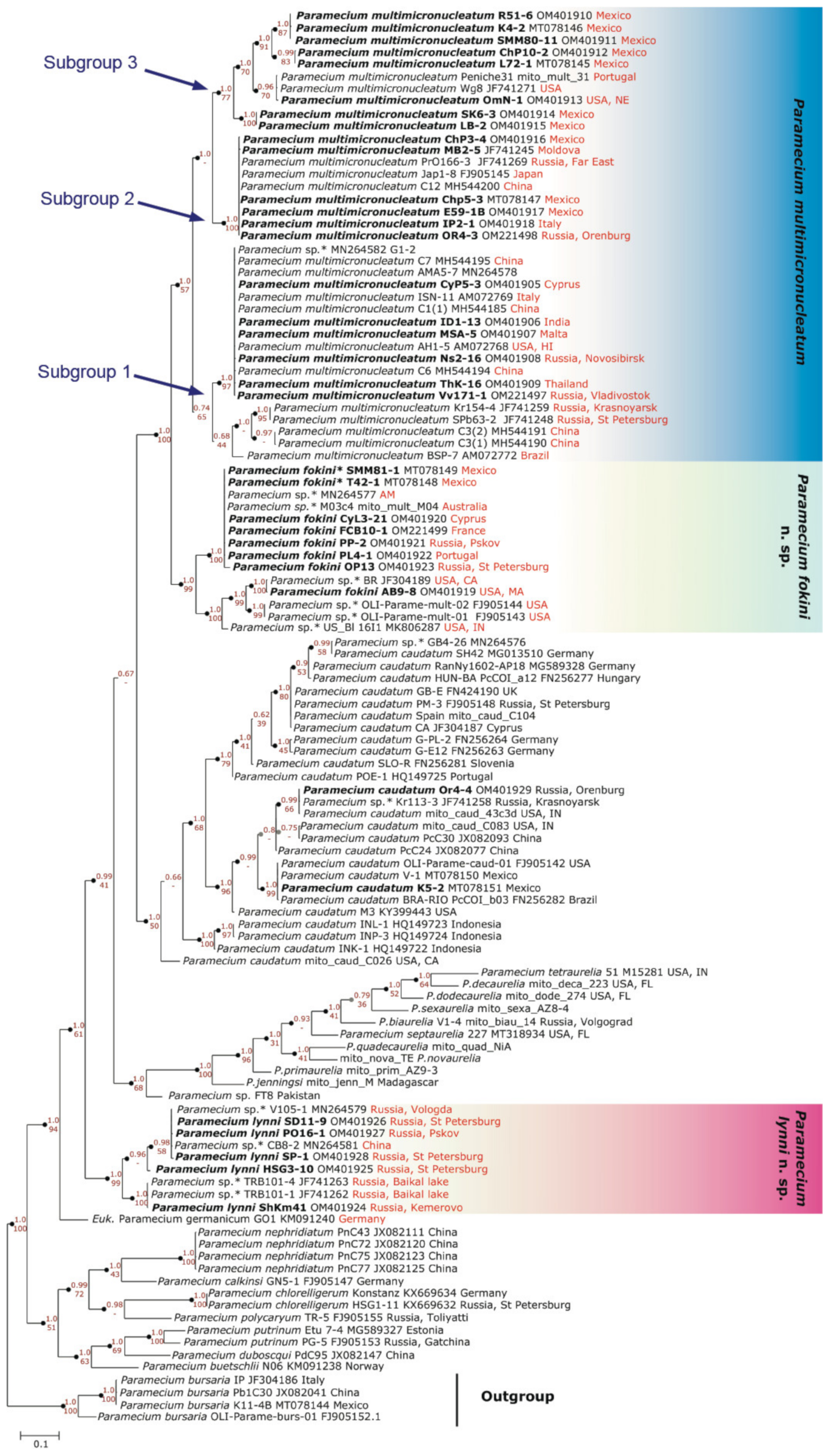 Microorganisms 10 00974 g004 Microorganisms 10 00974 g004
