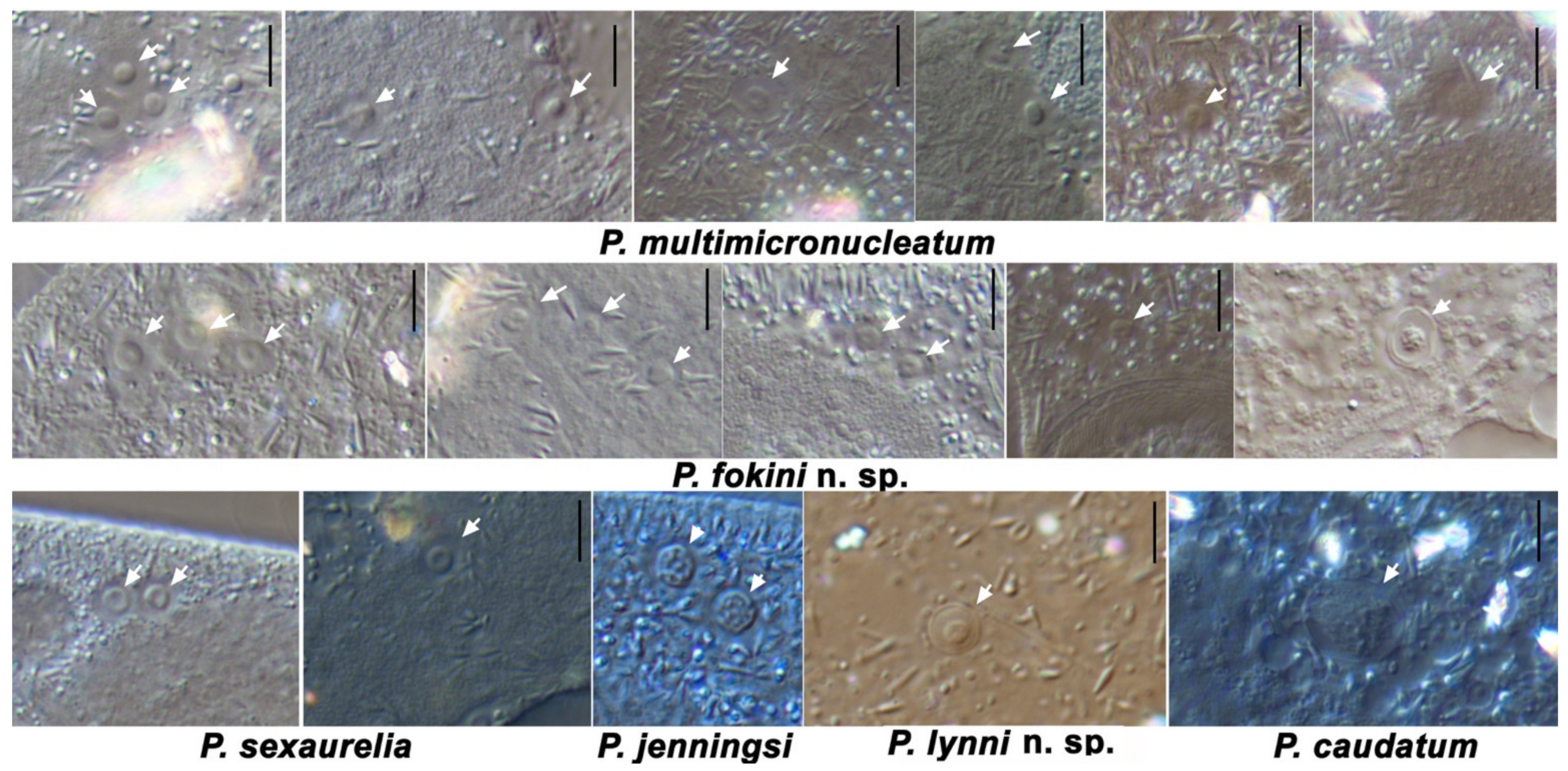 Microorganisms 10 00974 g006 Microorganisms 10 00974 g006