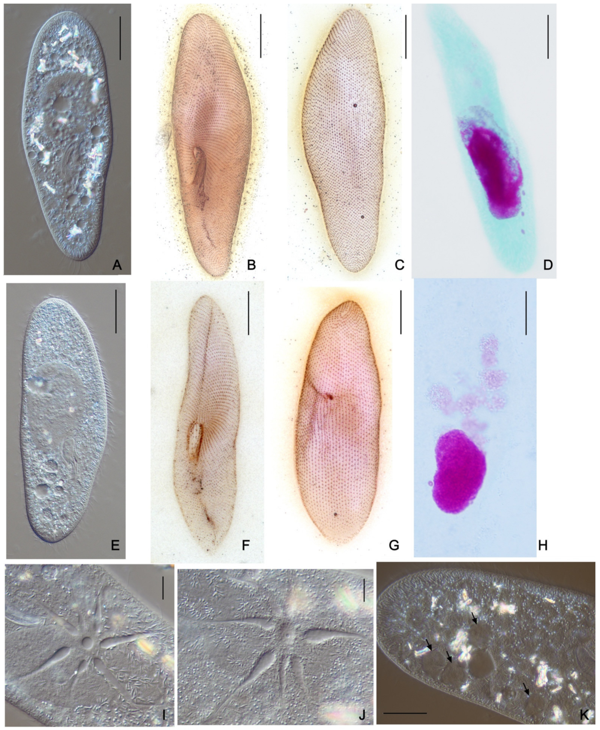 Microorganisms 10 00974 g007 Microorganisms 10 00974 g007