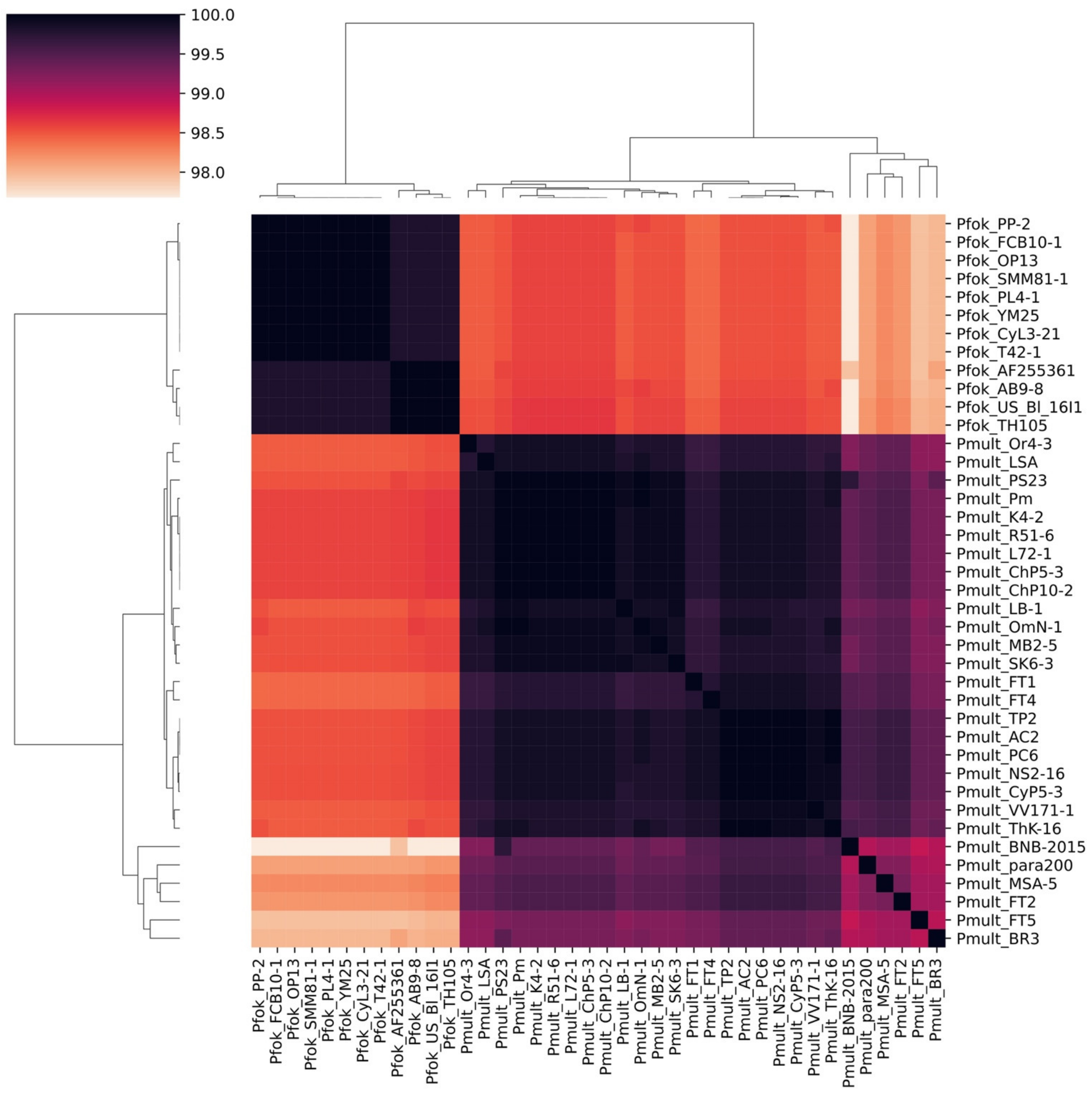 Microorganisms 10 00974 g008 Microorganisms 10 00974 g008