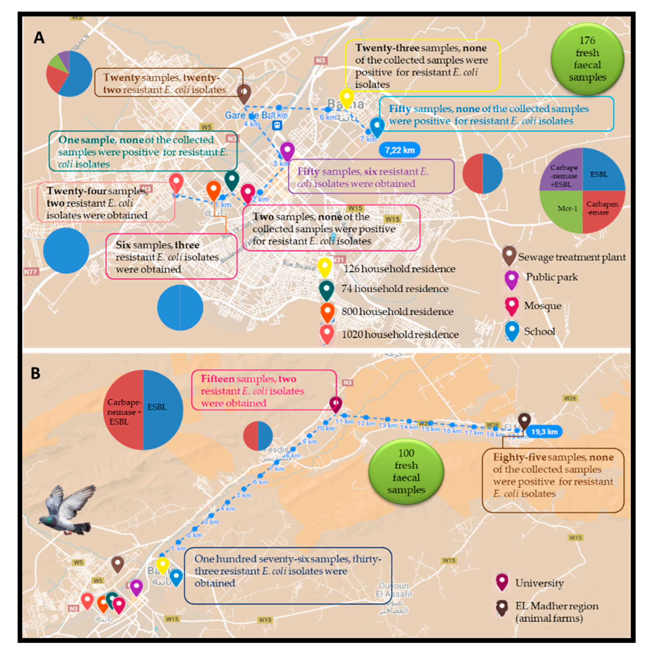 Microorganisms 10 00975 g001