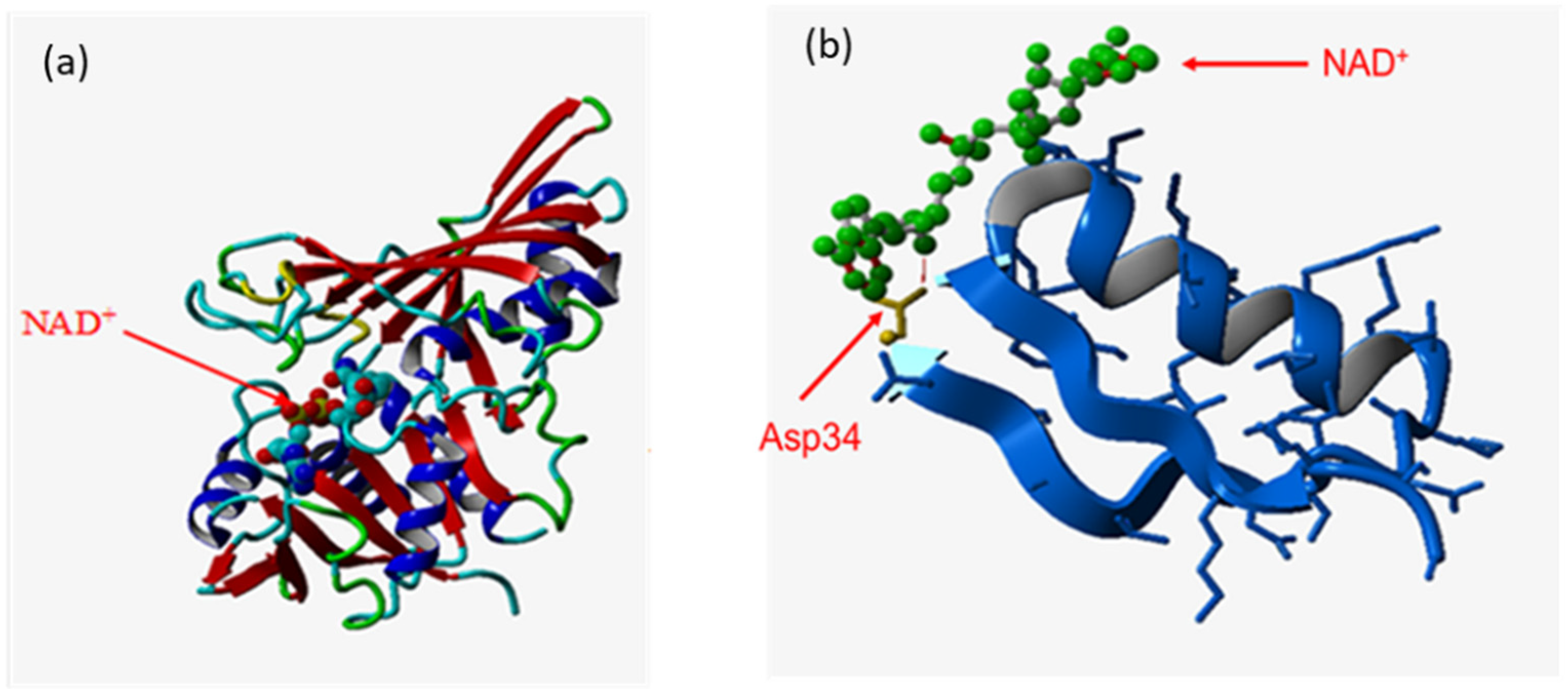 Microorganisms 10 00976 g003