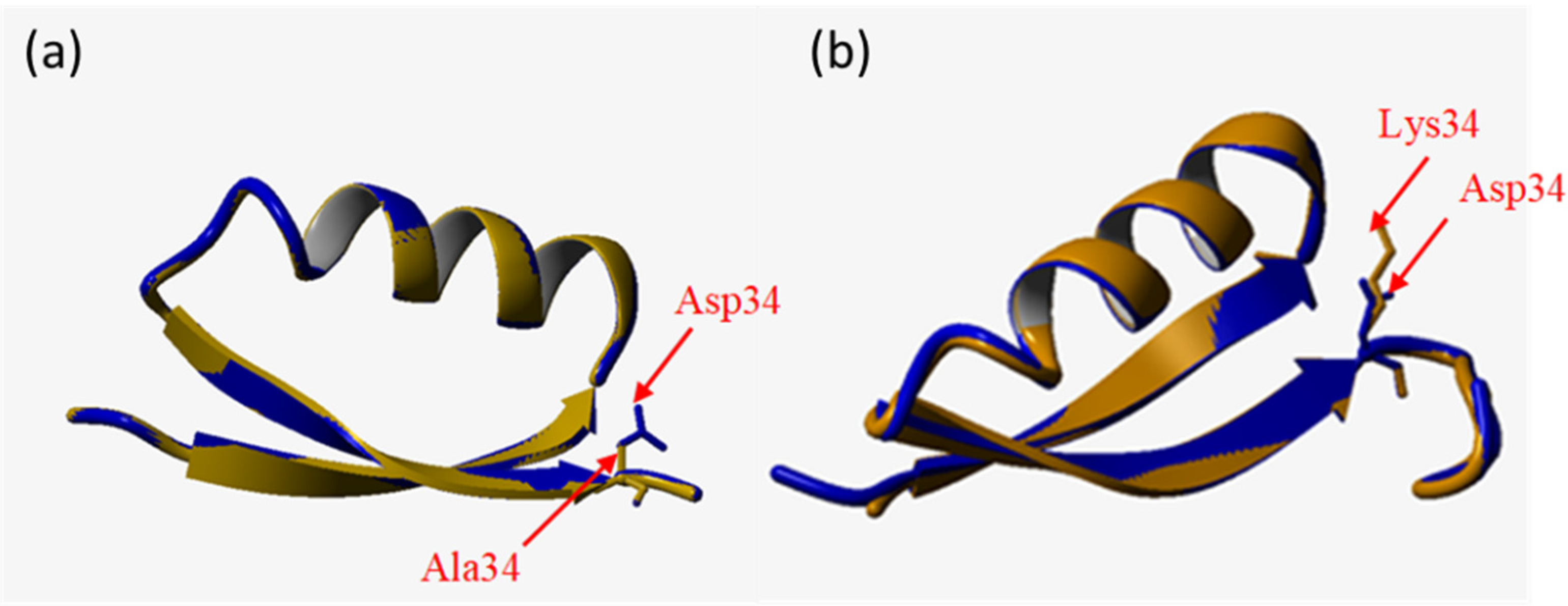 Microorganisms 10 00976 g004