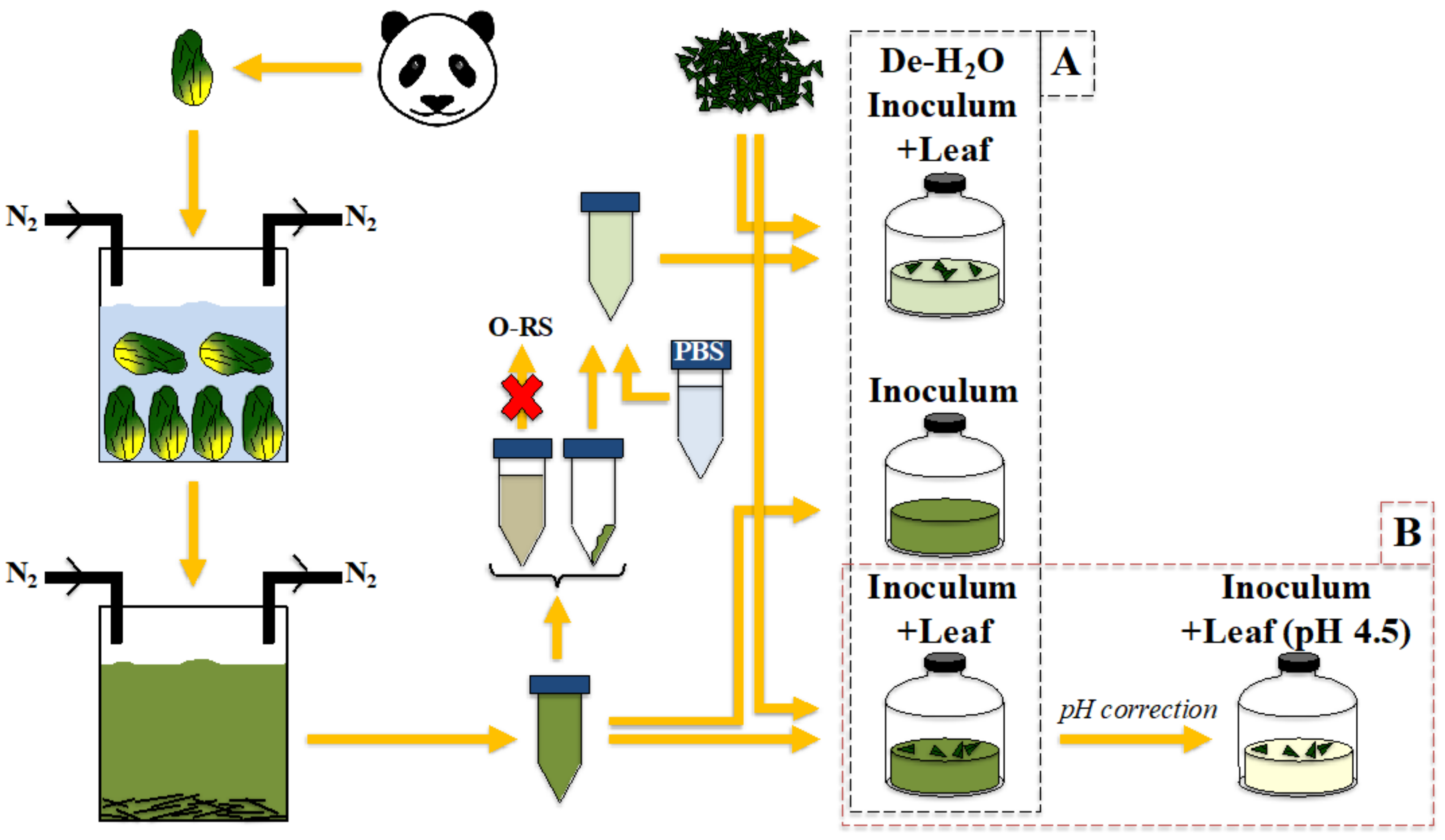 Microorganisms 10 00978 g001 550