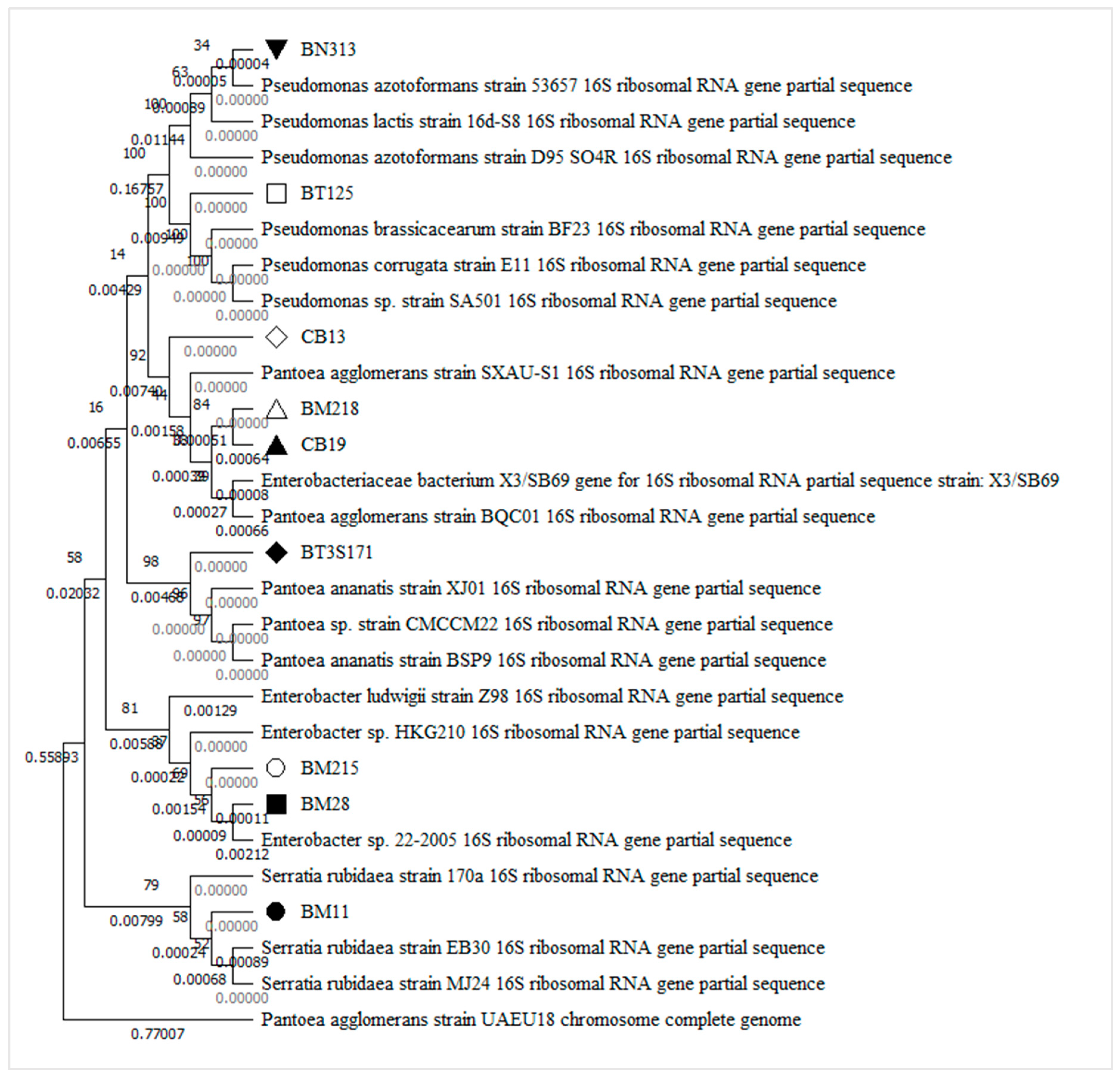 Microorganisms 10 00980 g001 550