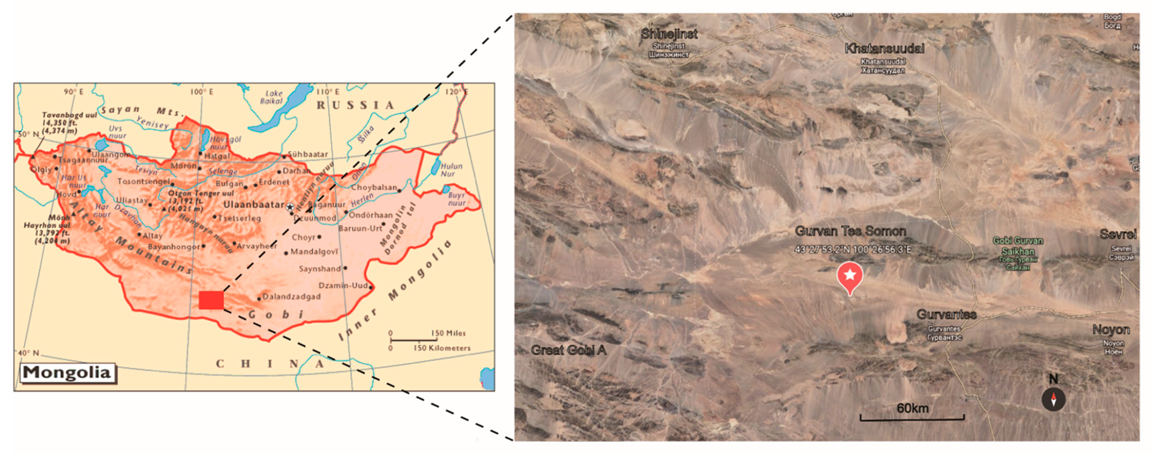 Microorganisms 10 00989 g001 Microorganisms 10 00989 g001