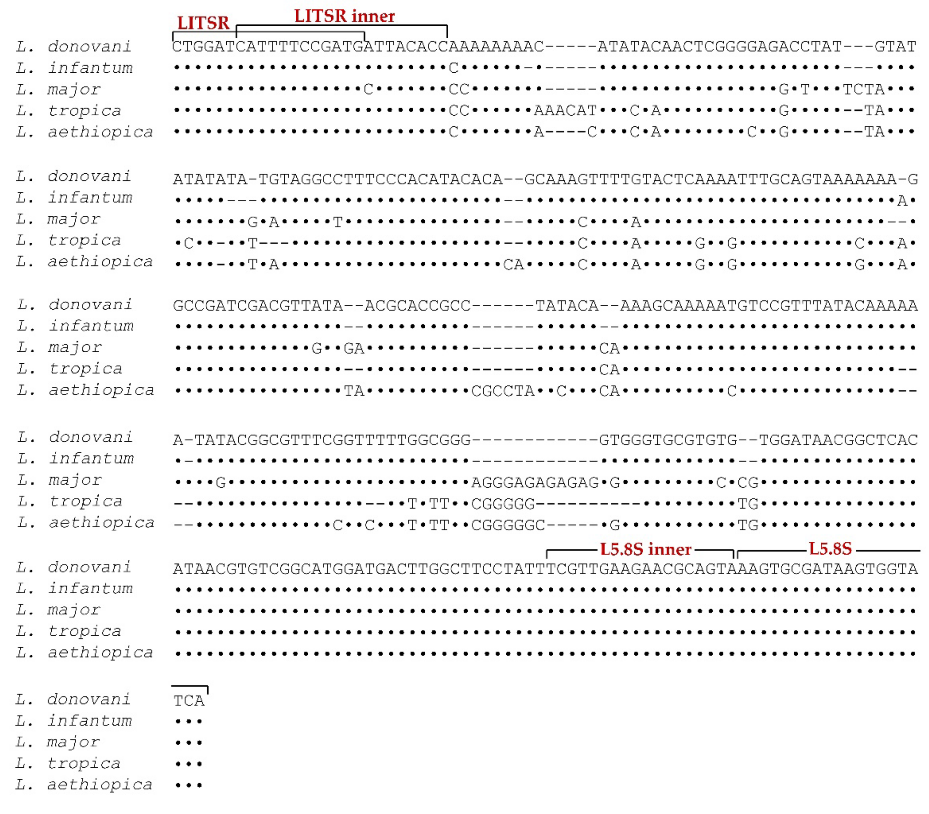 Microorganisms 10 00990 g001