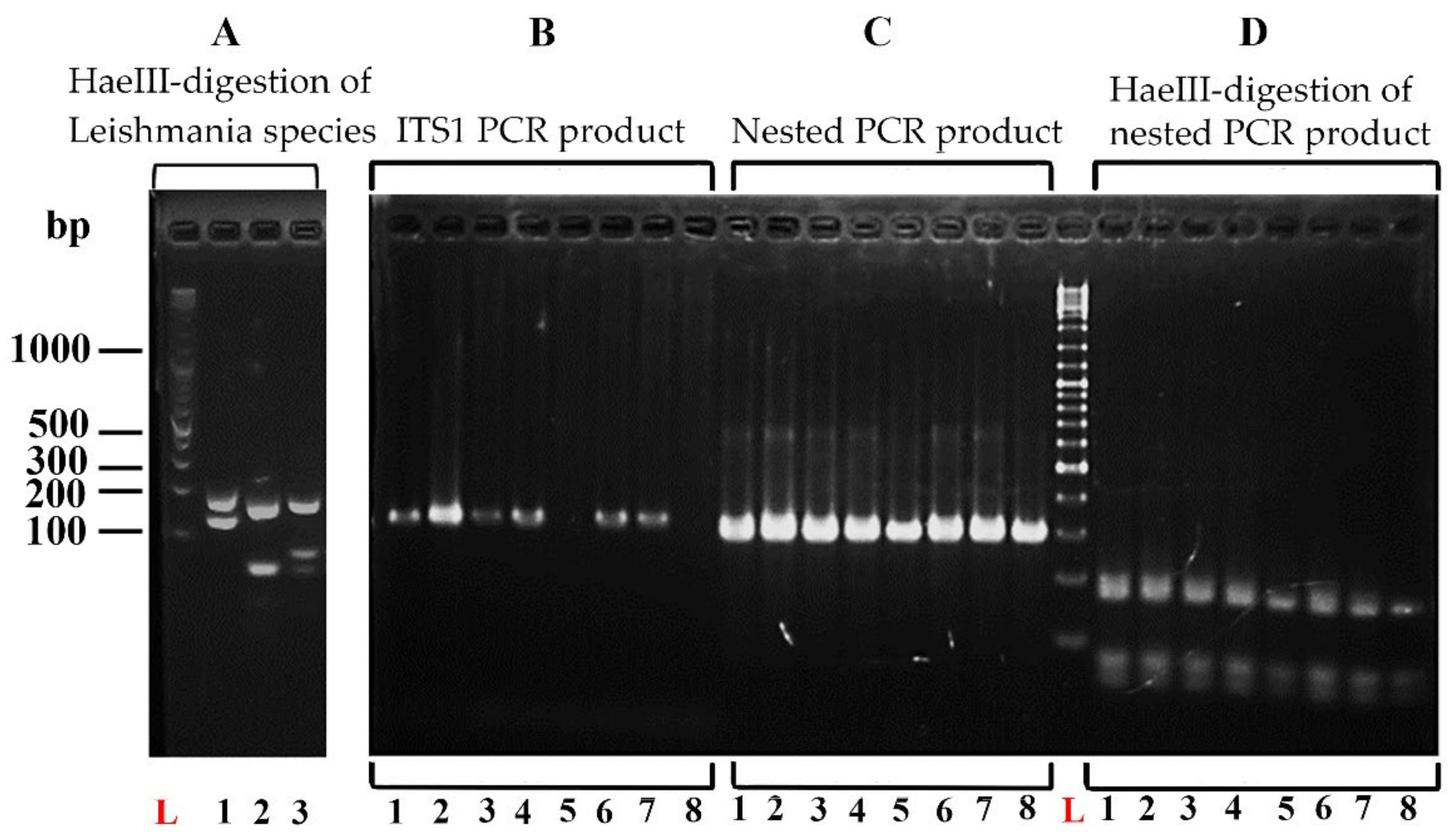 Microorganisms 10 00990 g003