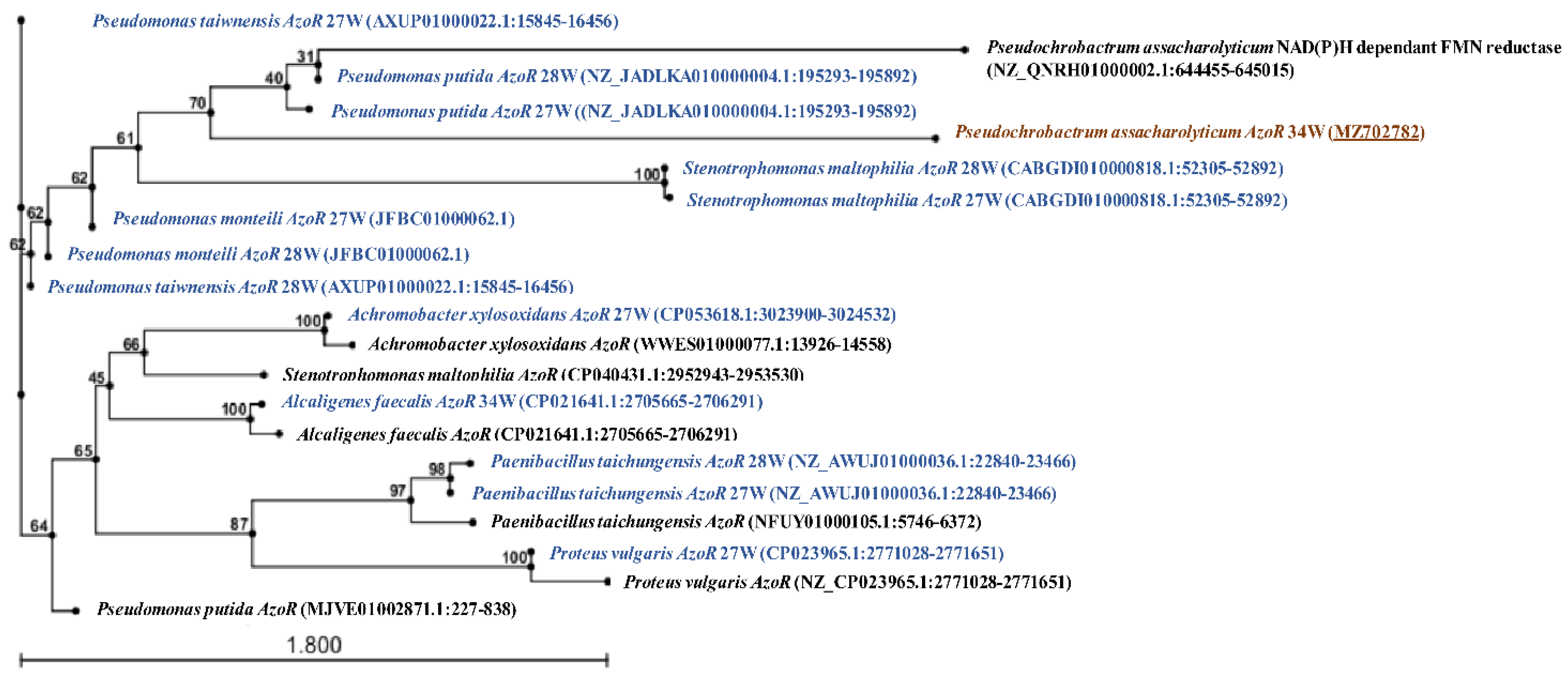 Microorganisms 10 00994 g007