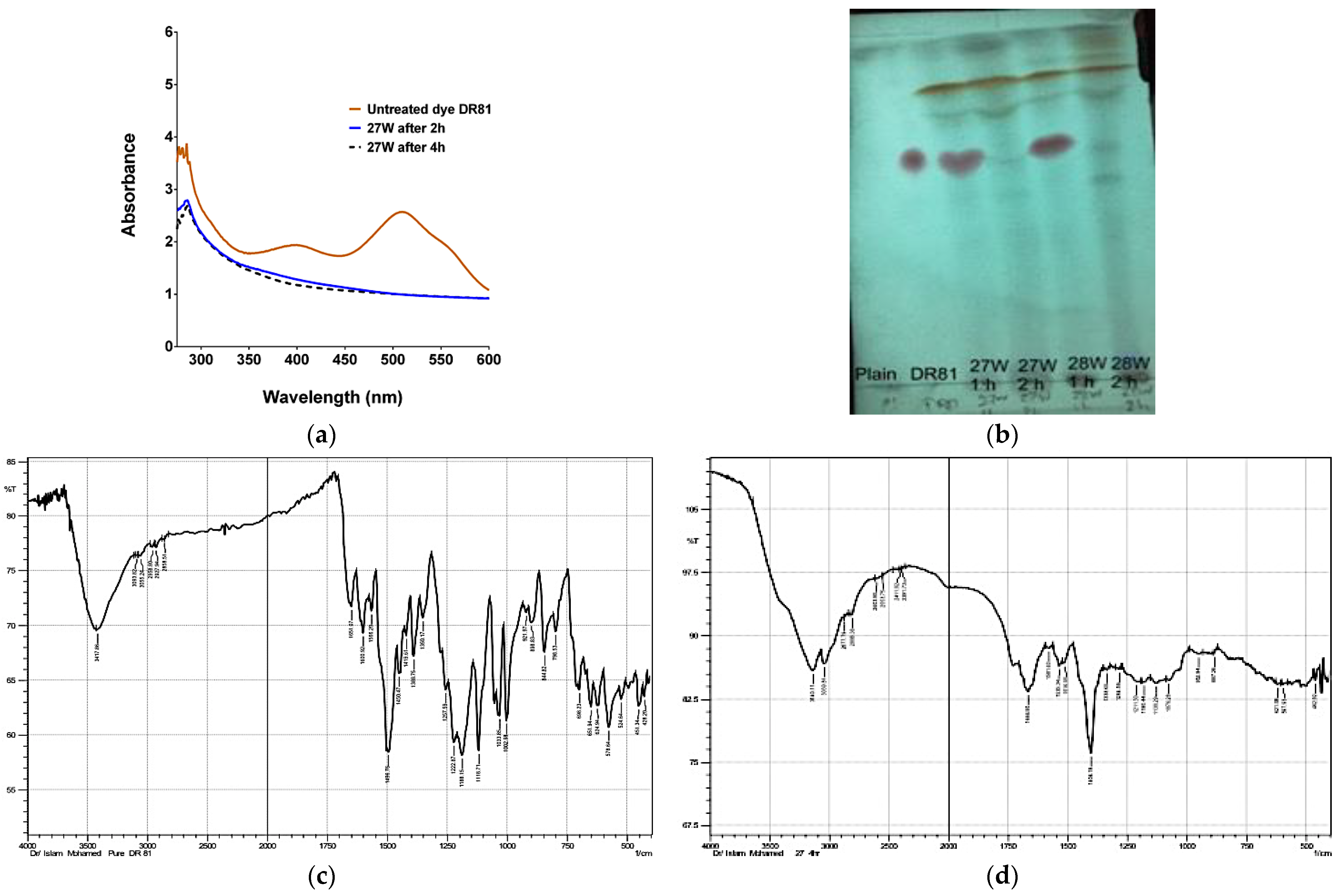 Microorganisms 10 00994 g008a