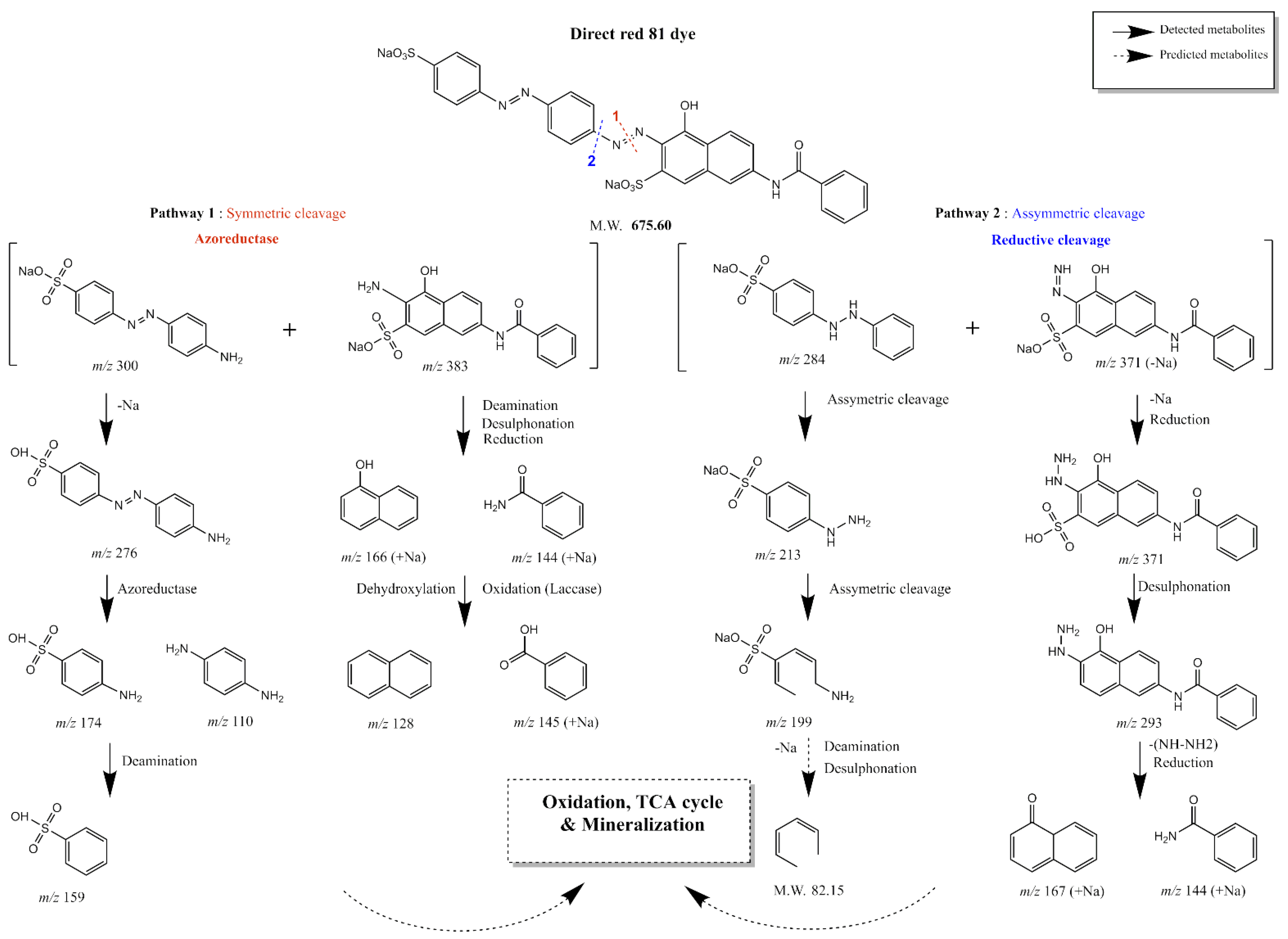 Microorganisms 10 00994 g009