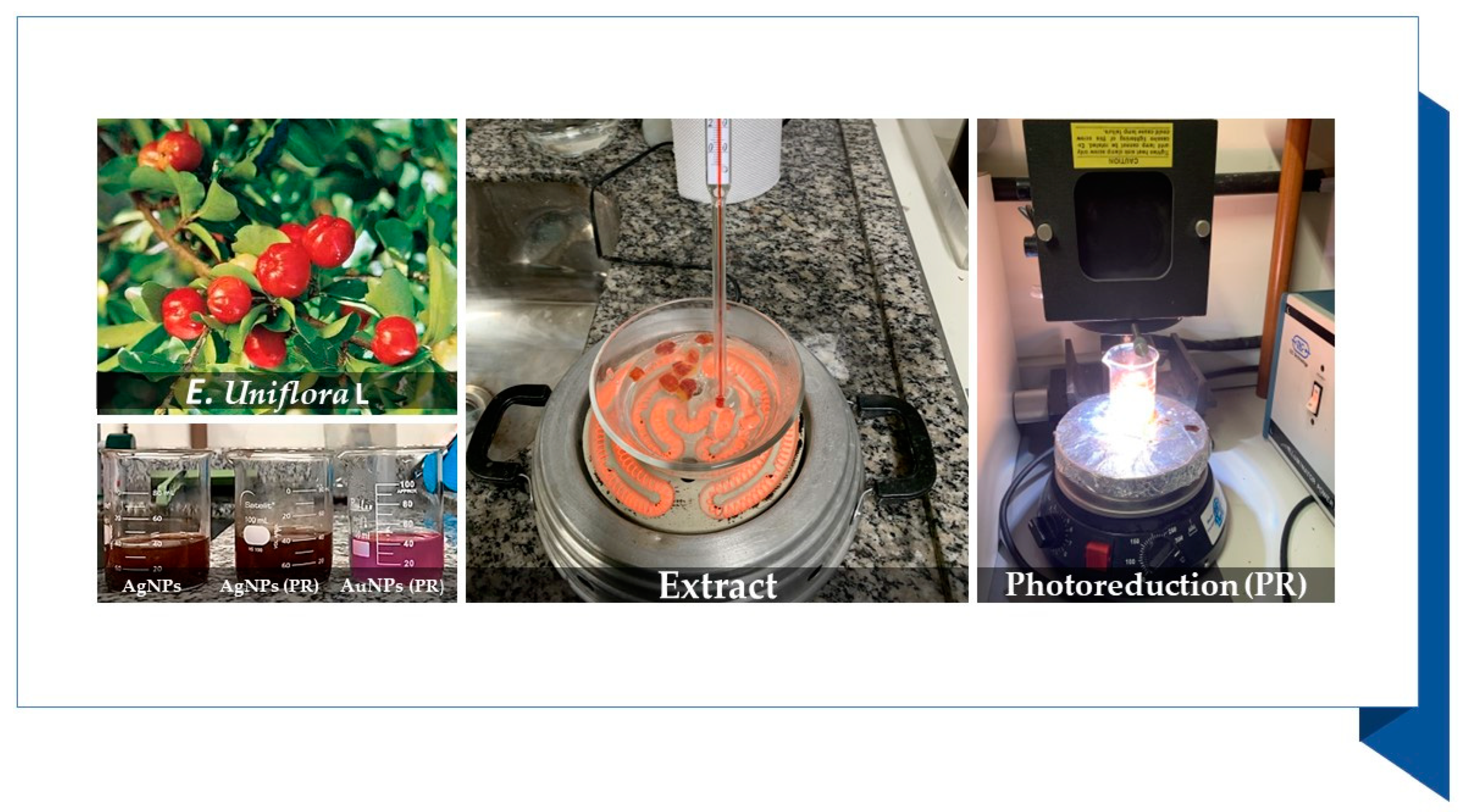 Microorganisms 10 00999 g001 550