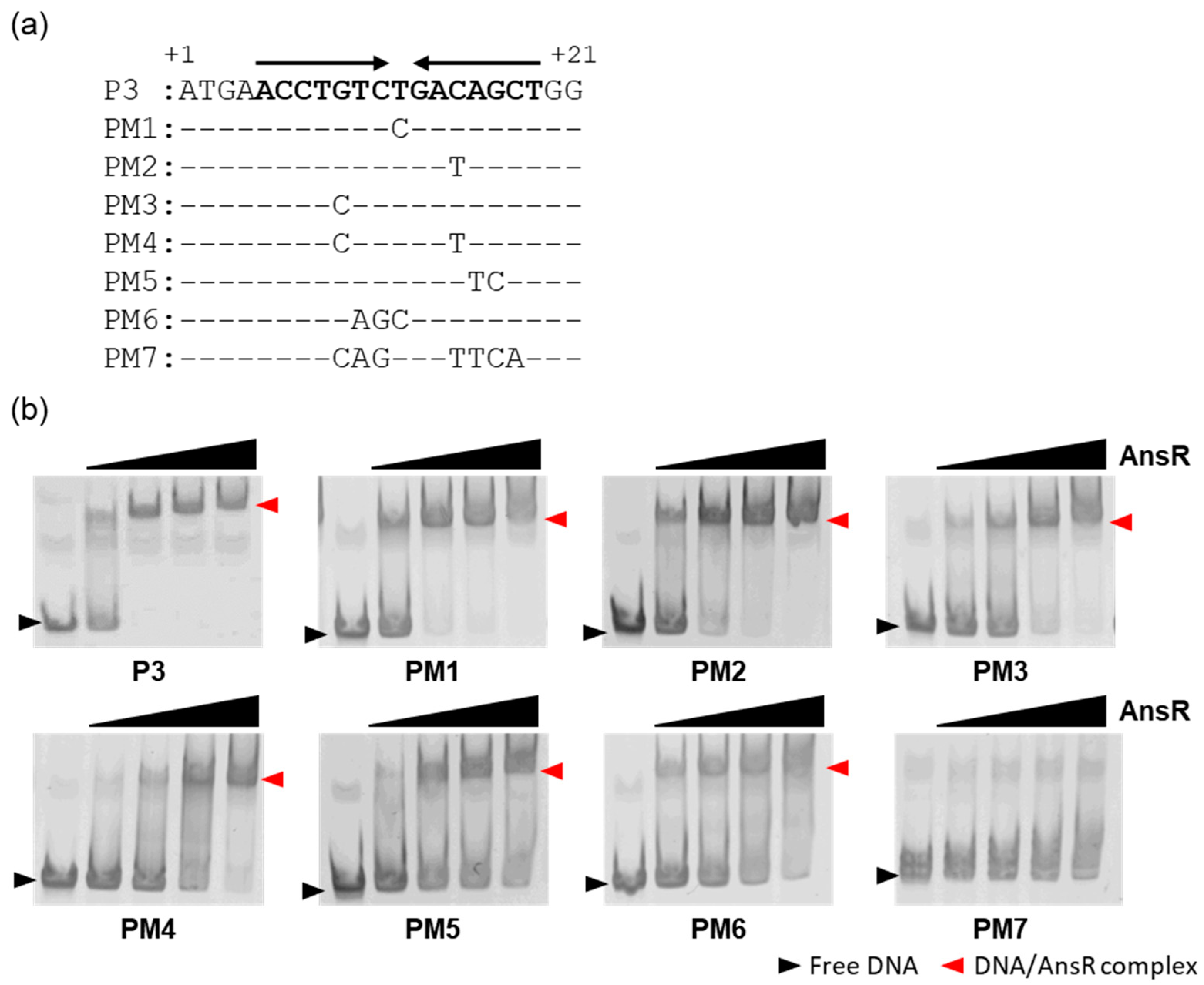 Microorganisms 10 01002 g005 Microorganisms 10 01002 g005