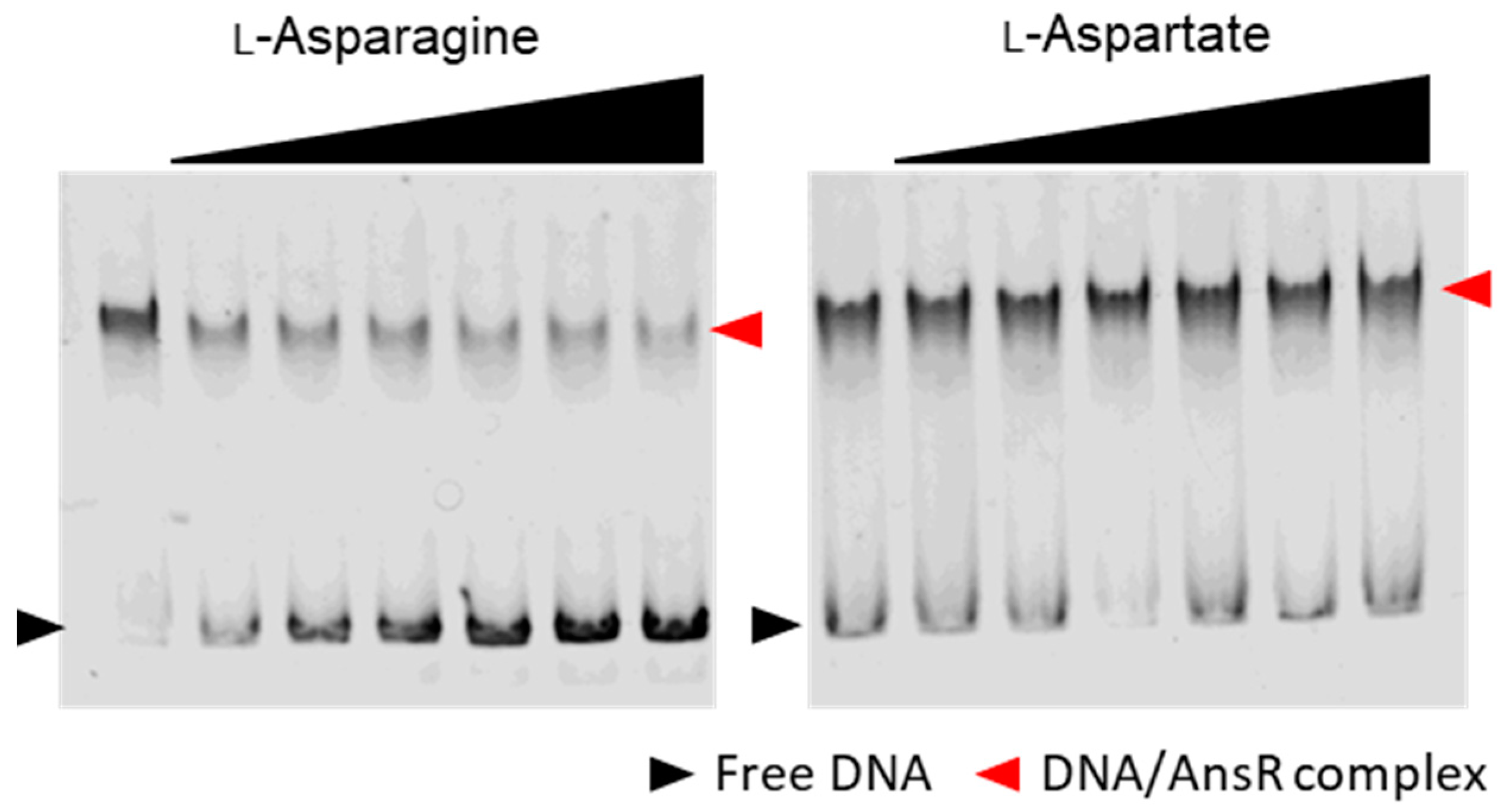 Microorganisms 10 01002 g006 Microorganisms 10 01002 g006