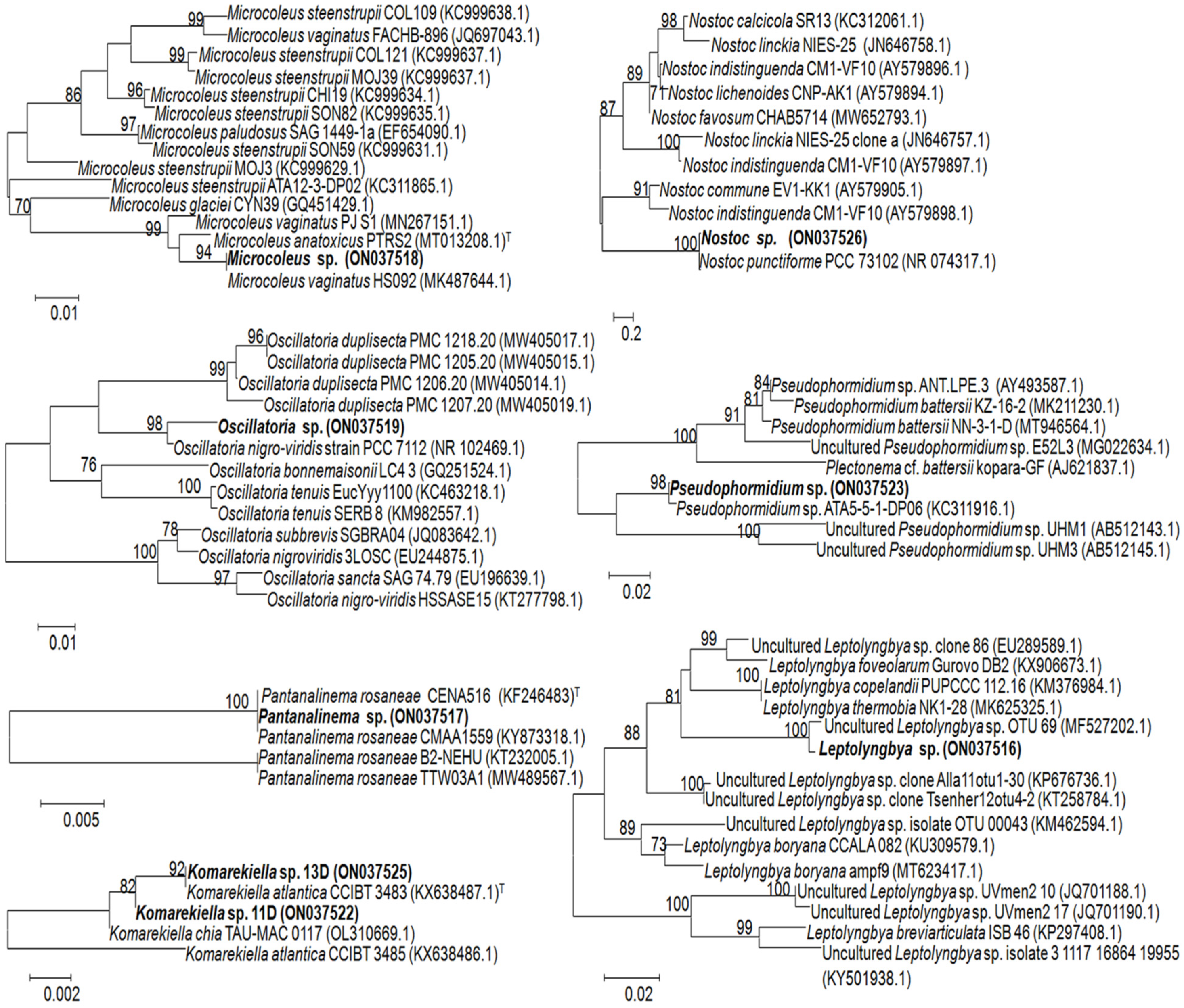 Microorganisms 10 01006 g004