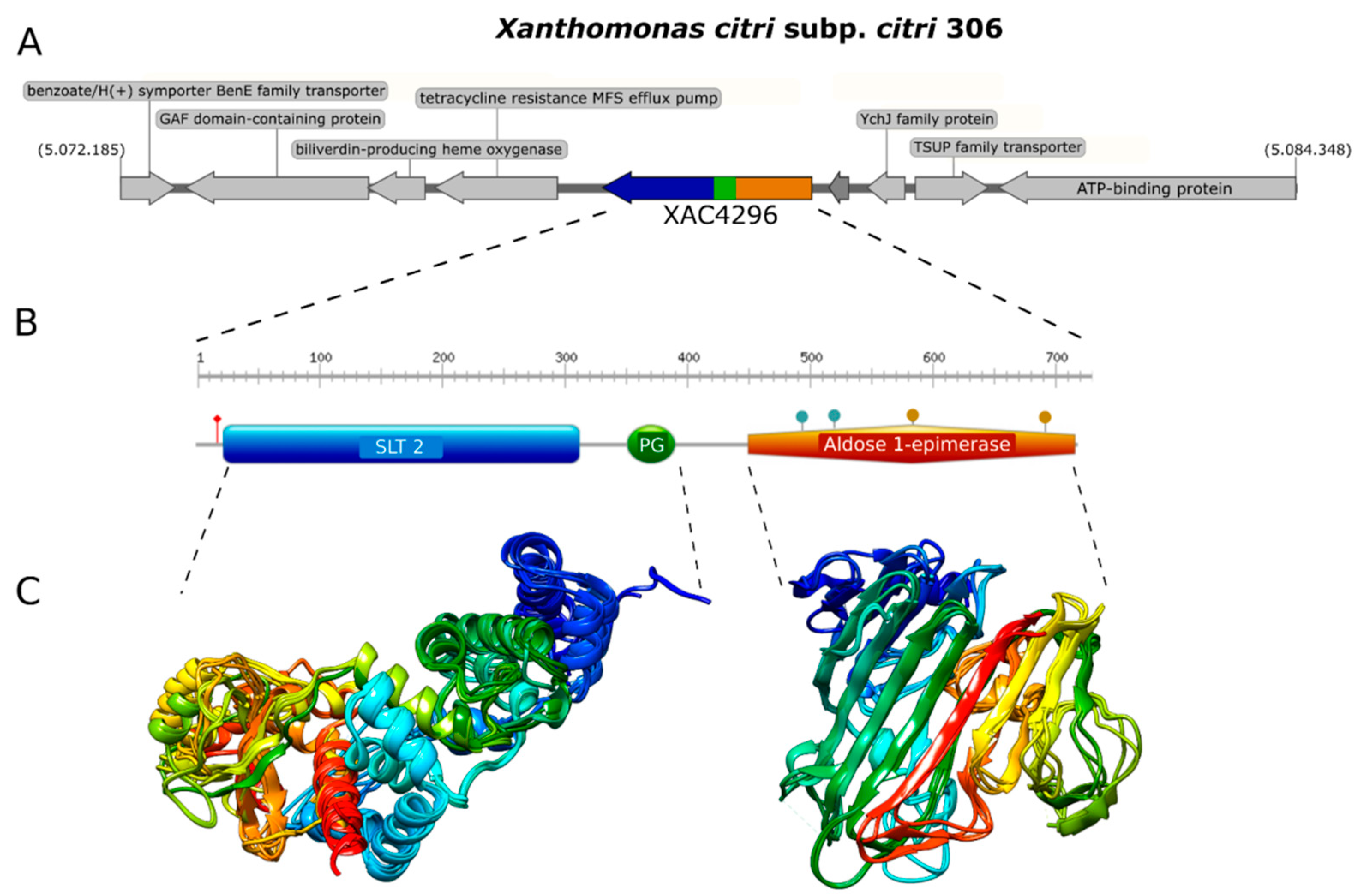 Microorganisms 10 01008 g001 Microorganisms 10 01008 g001