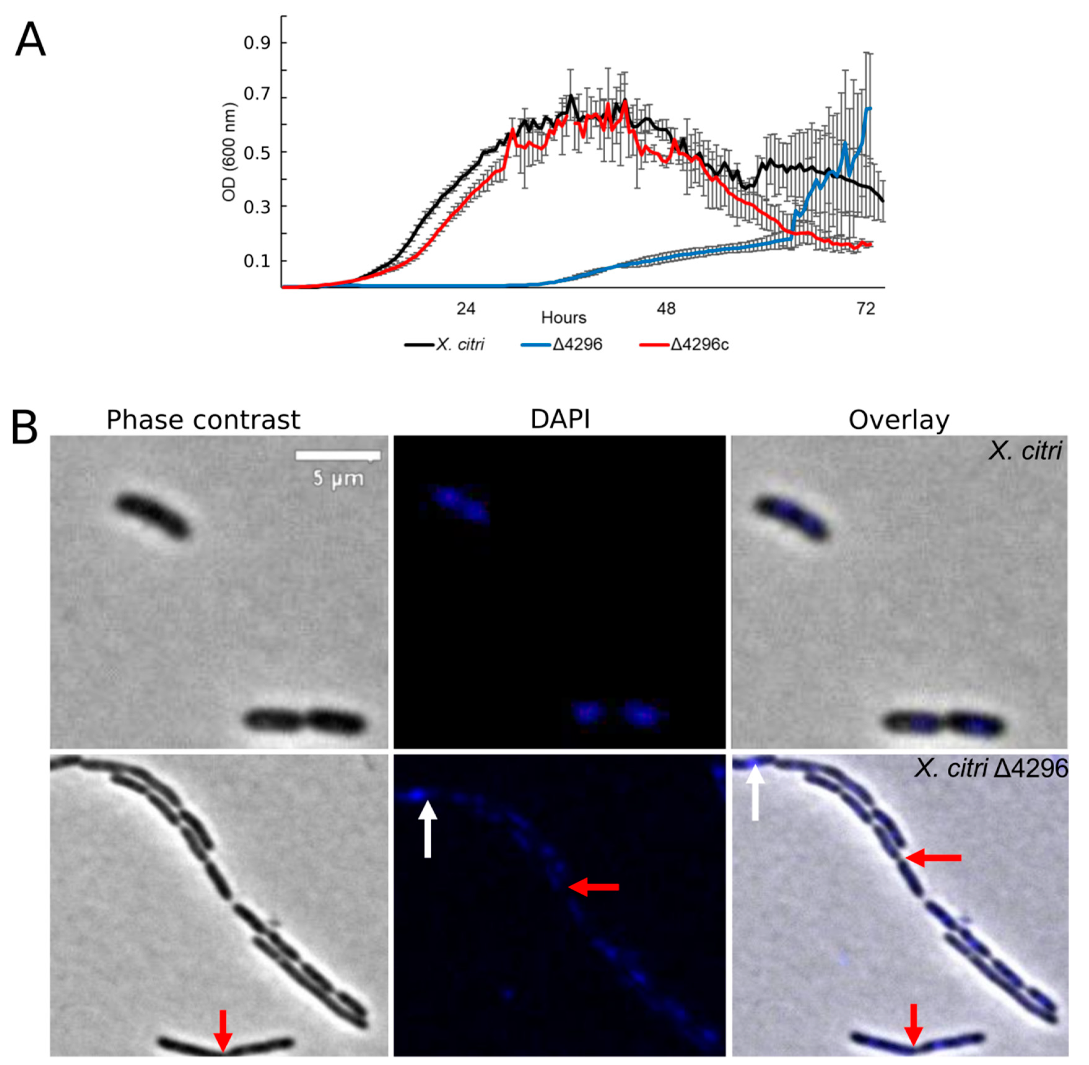 Microorganisms 10 01008 g004 Microorganisms 10 01008 g004