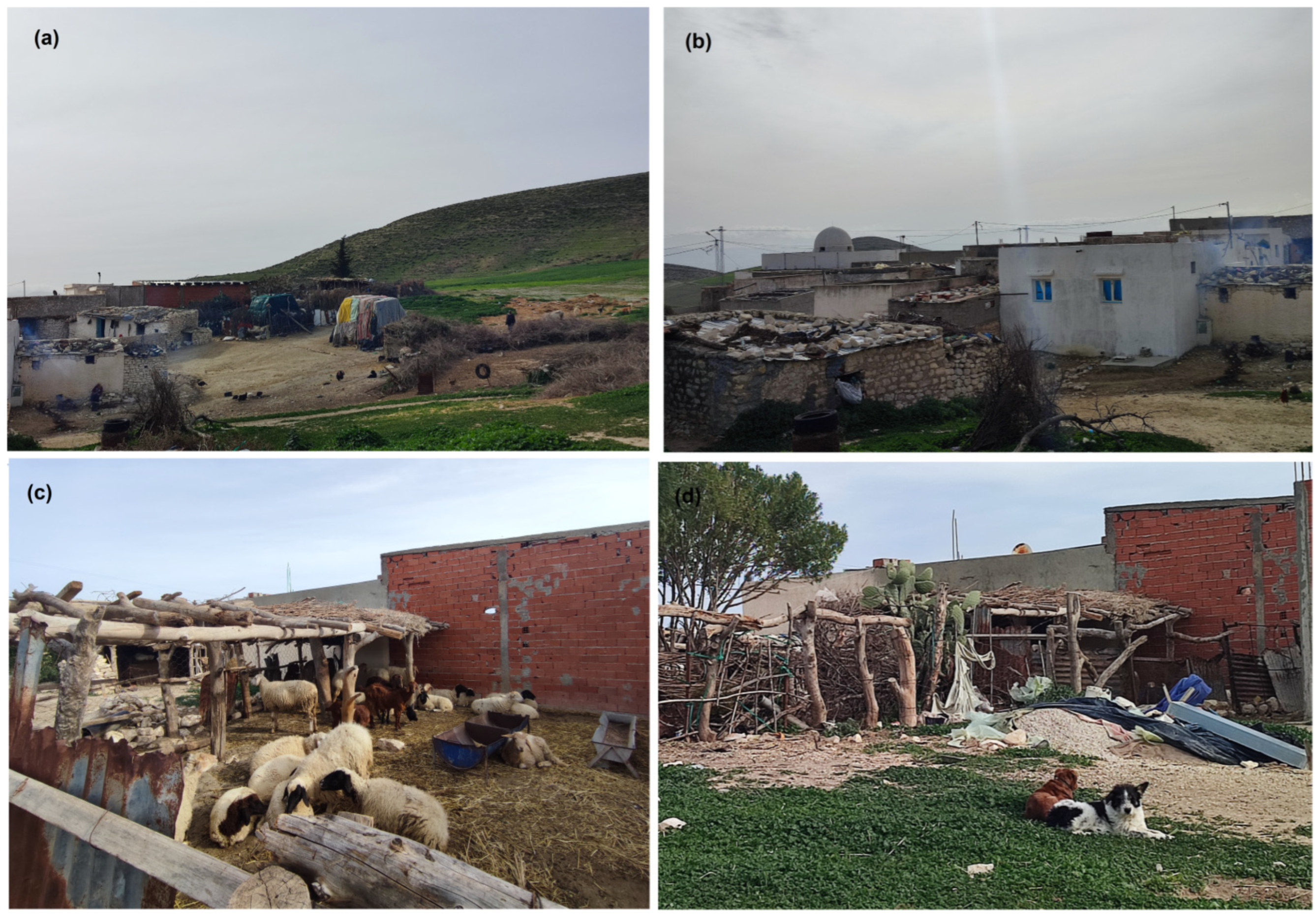 Microorganisms 10 01012 g002 Microorganisms 10 01012 g002