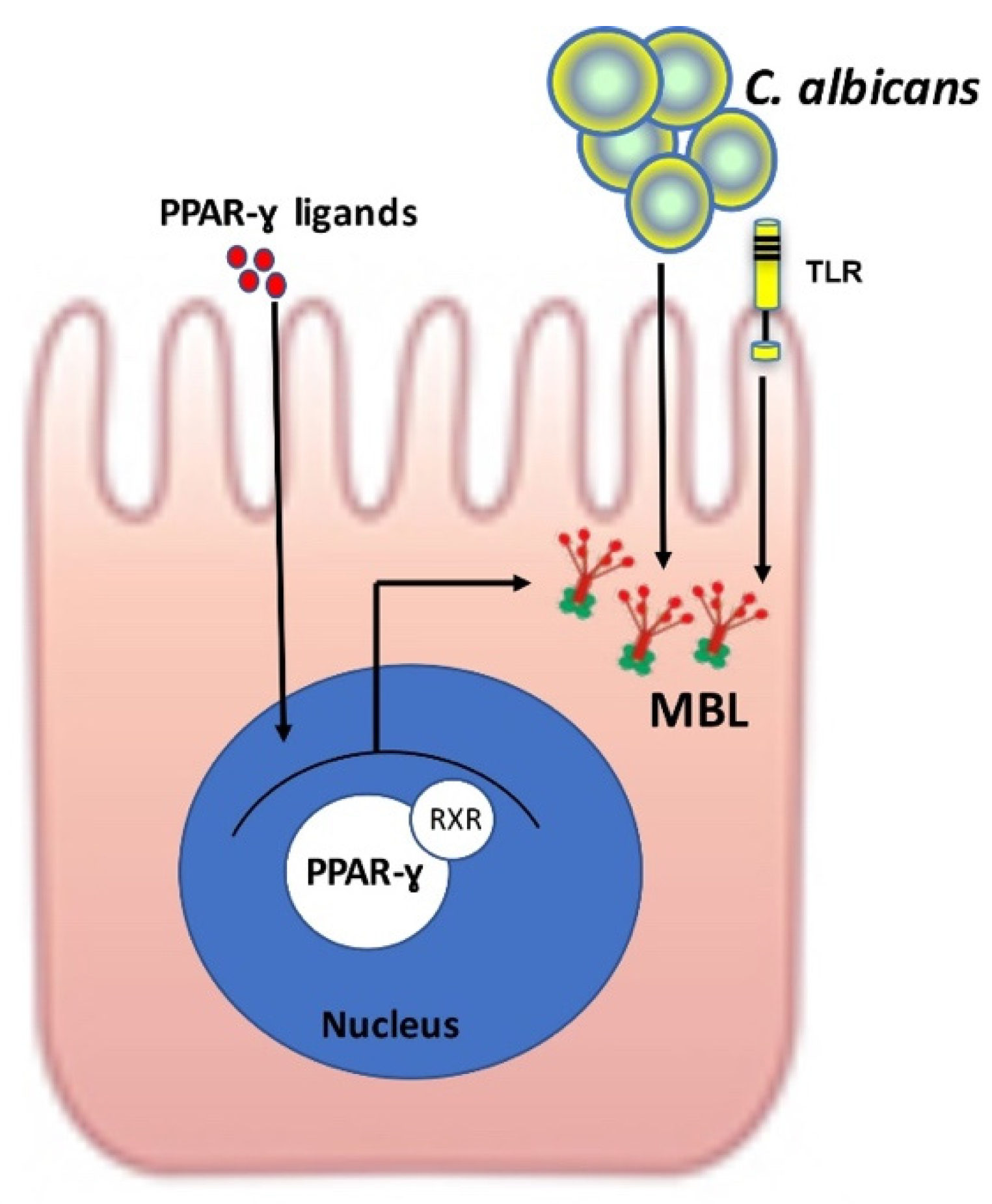 Microorganisms 10 01014 g003