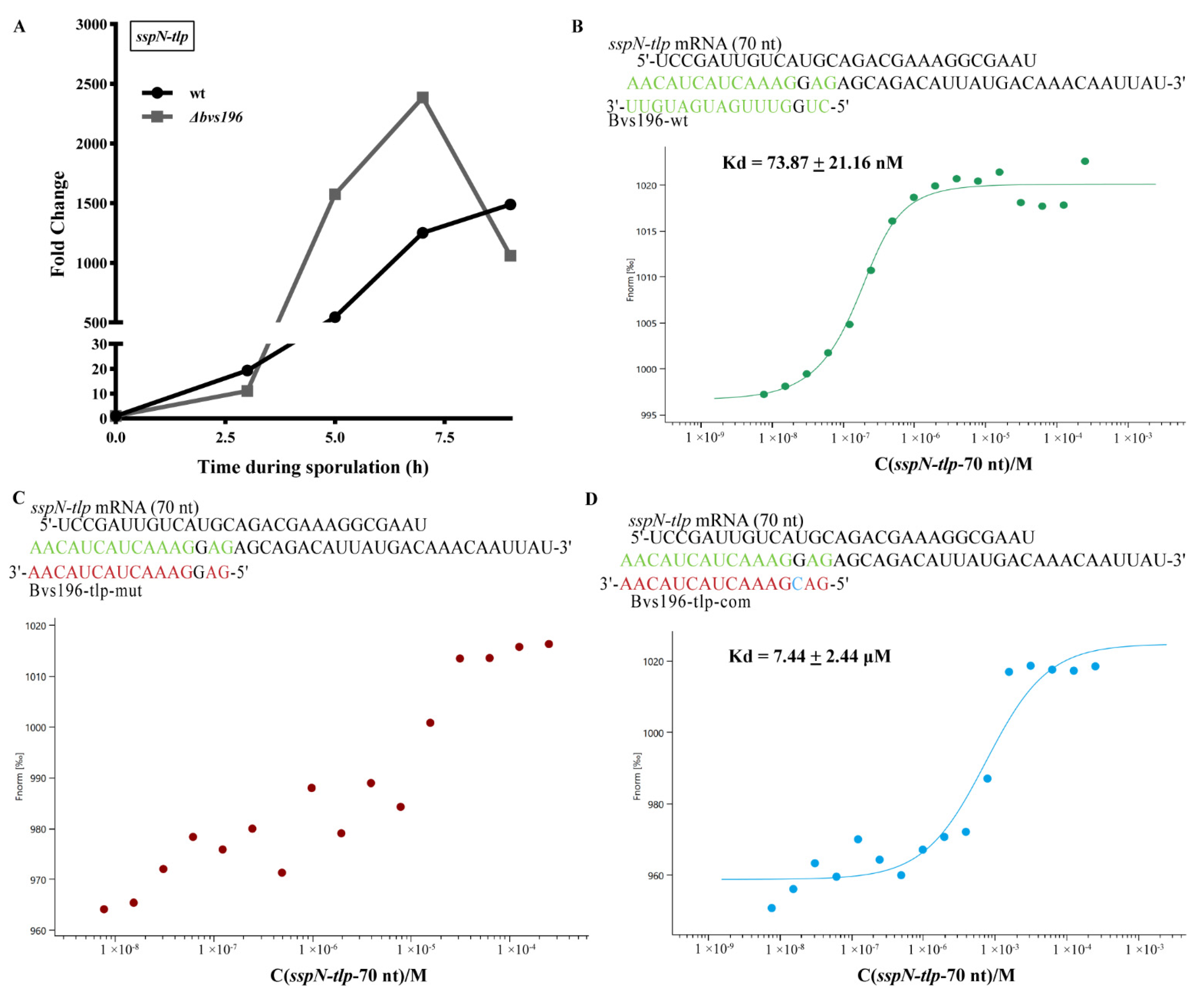 Microorganisms 10 01015 g006