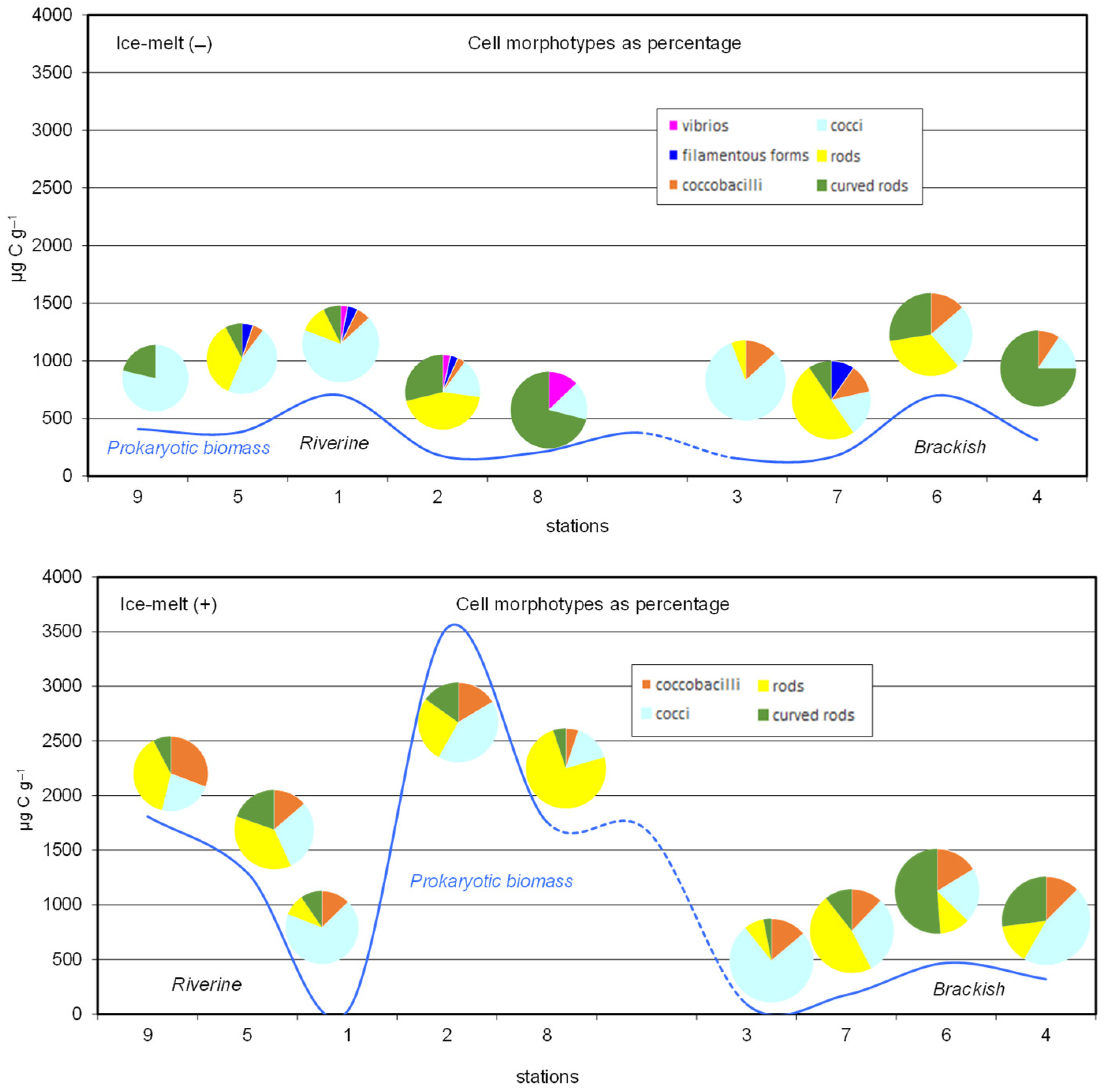 Microorganisms 10 01022 g002 Microorganisms 10 01022 g002