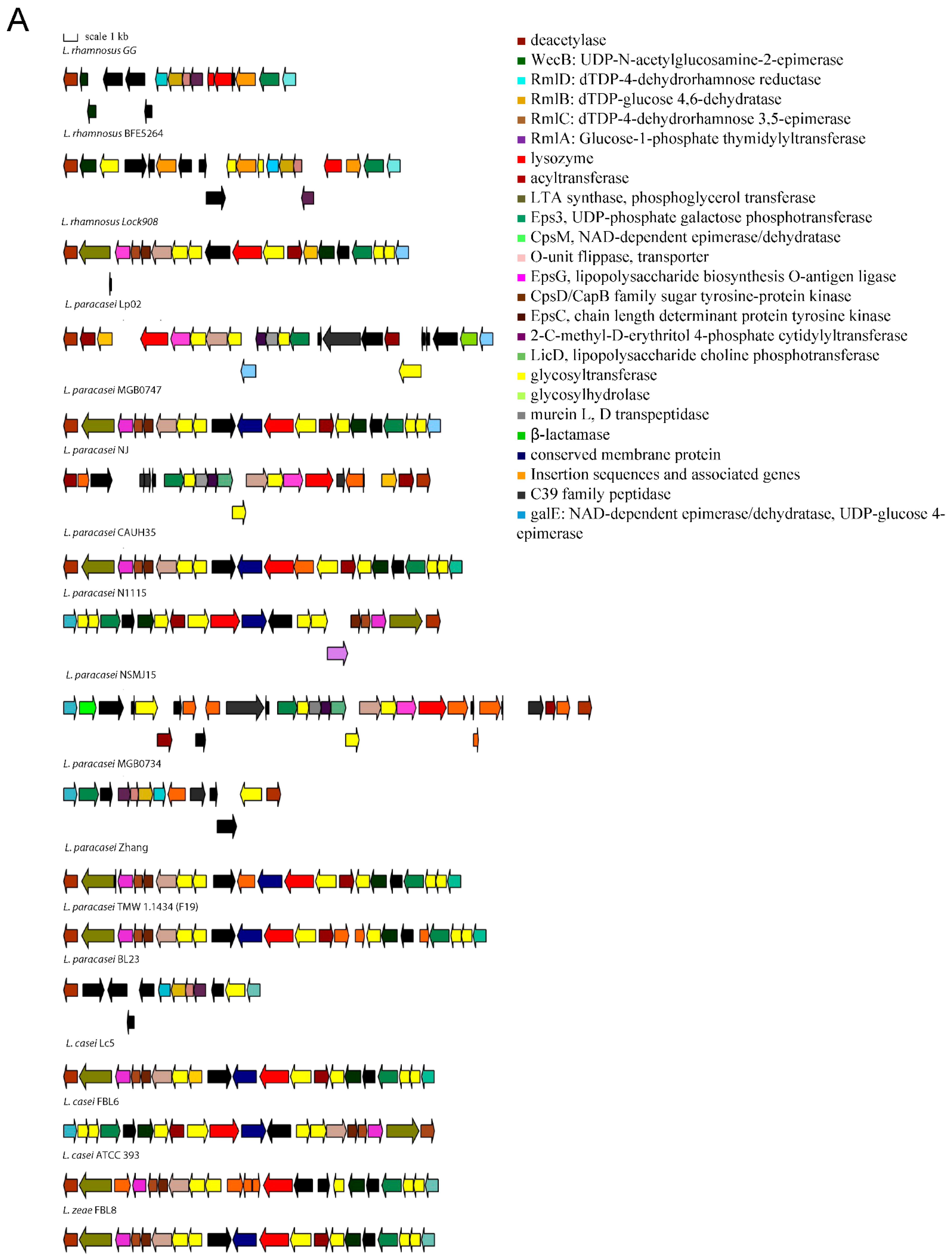 Microorganisms 10 01023 g001a