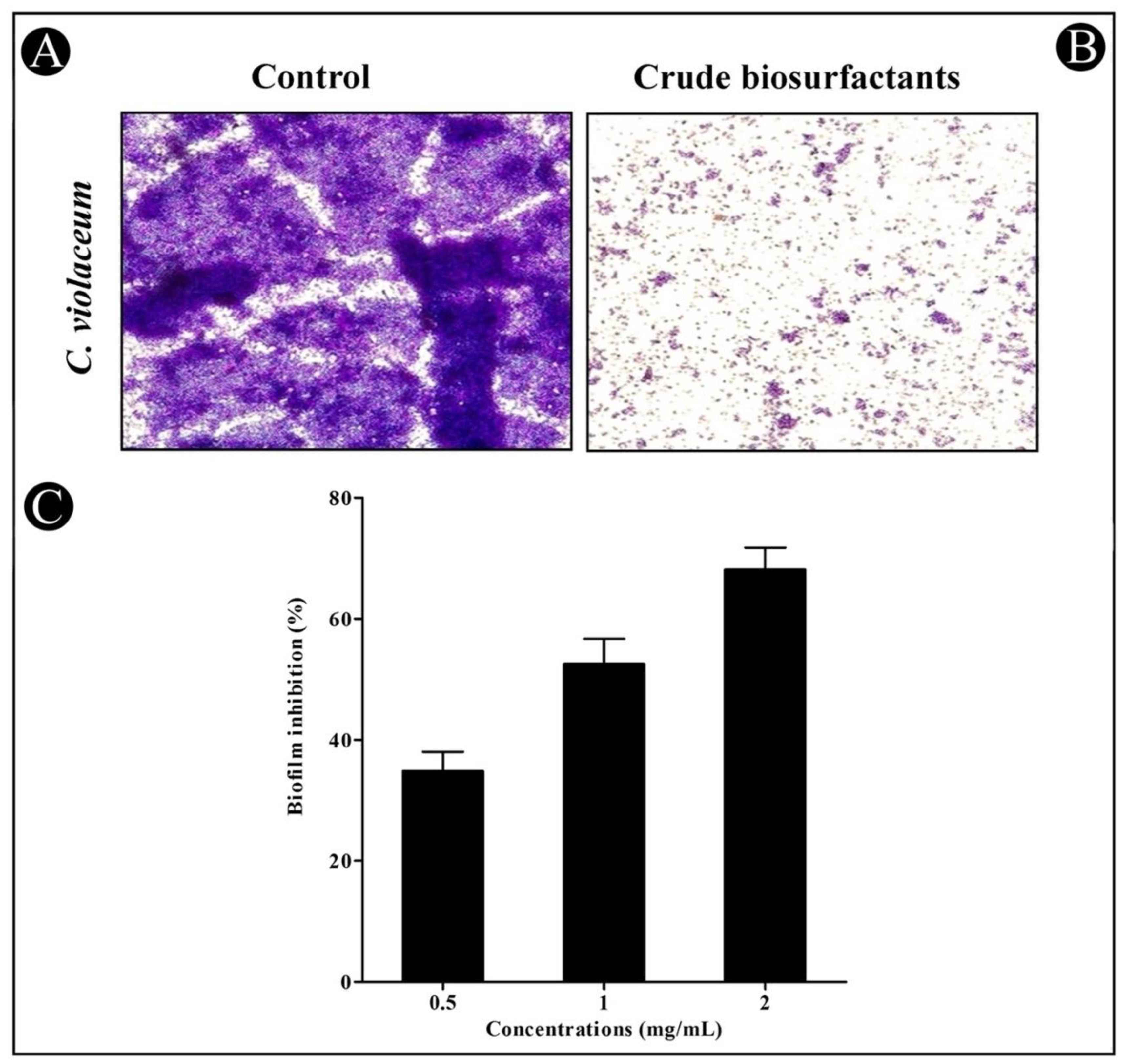 Microorganisms 10 01026 g005