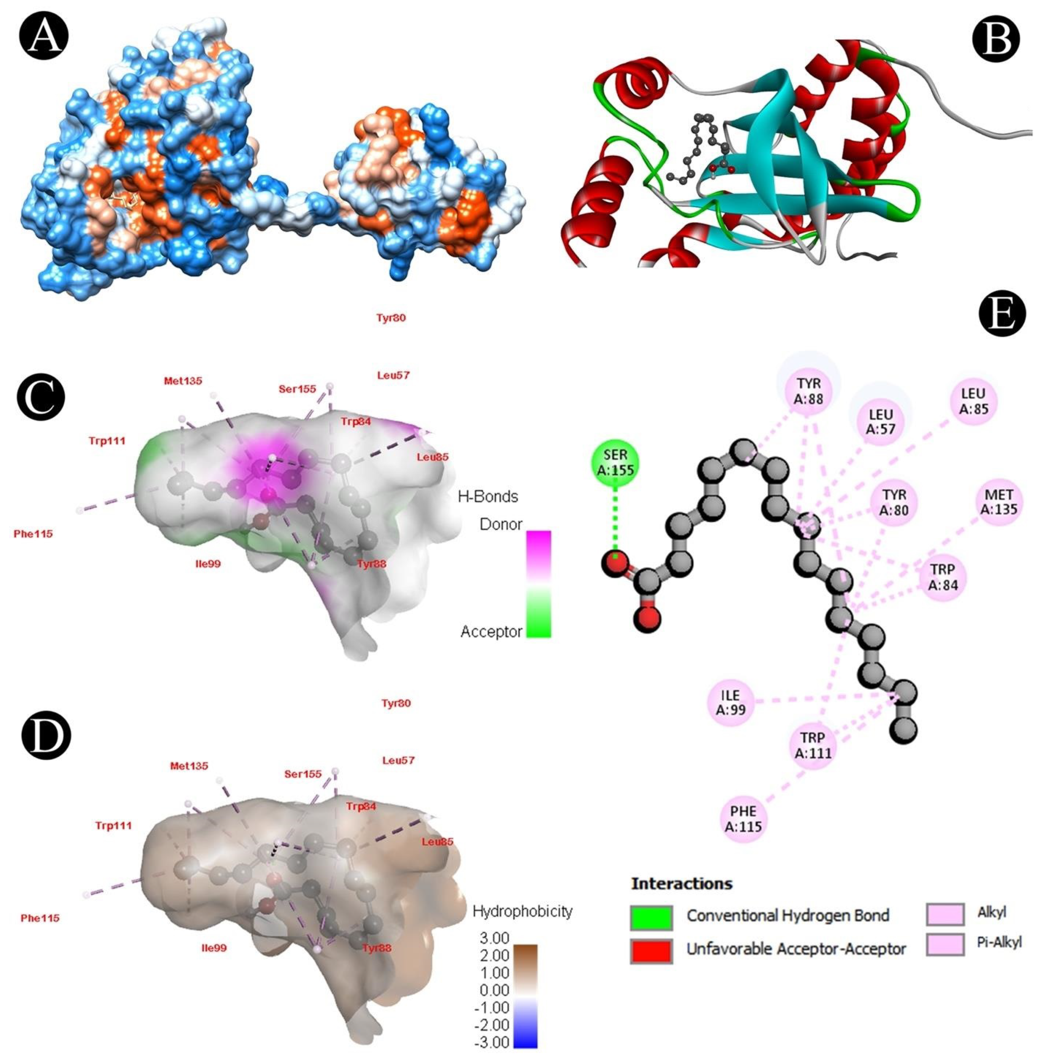 Microorganisms 10 01026 g007