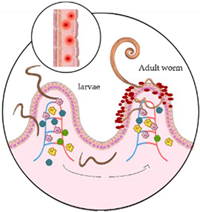 Microorganisms 10 01027 i002 Microorganisms 10 01027 i002