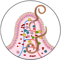 Microorganisms 10 01027 i003 Microorganisms 10 01027 i003