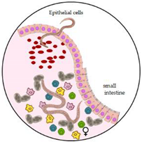 Microorganisms 10 01027 i004 Microorganisms 10 01027 i004