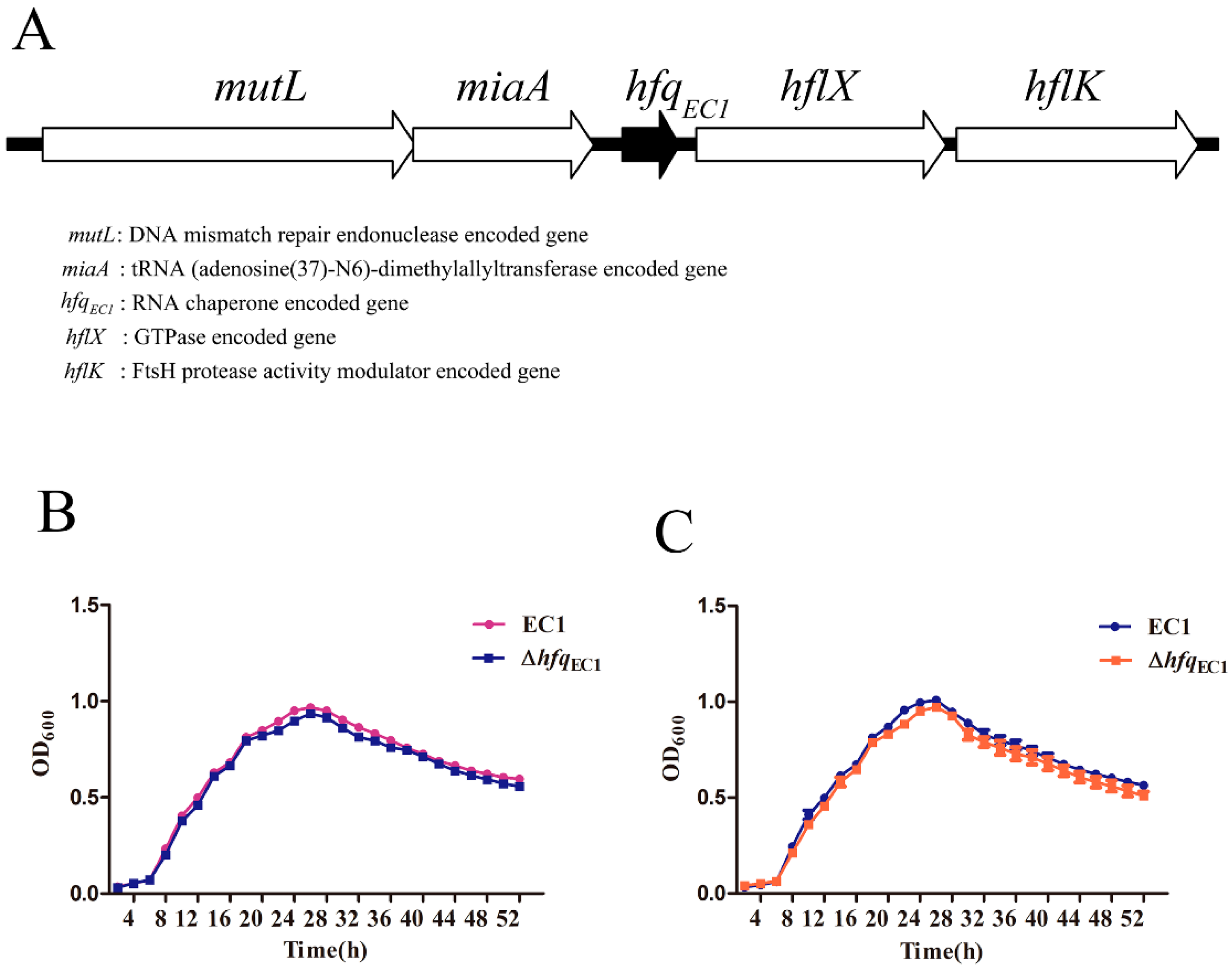 Microorganisms 10 01031 g001