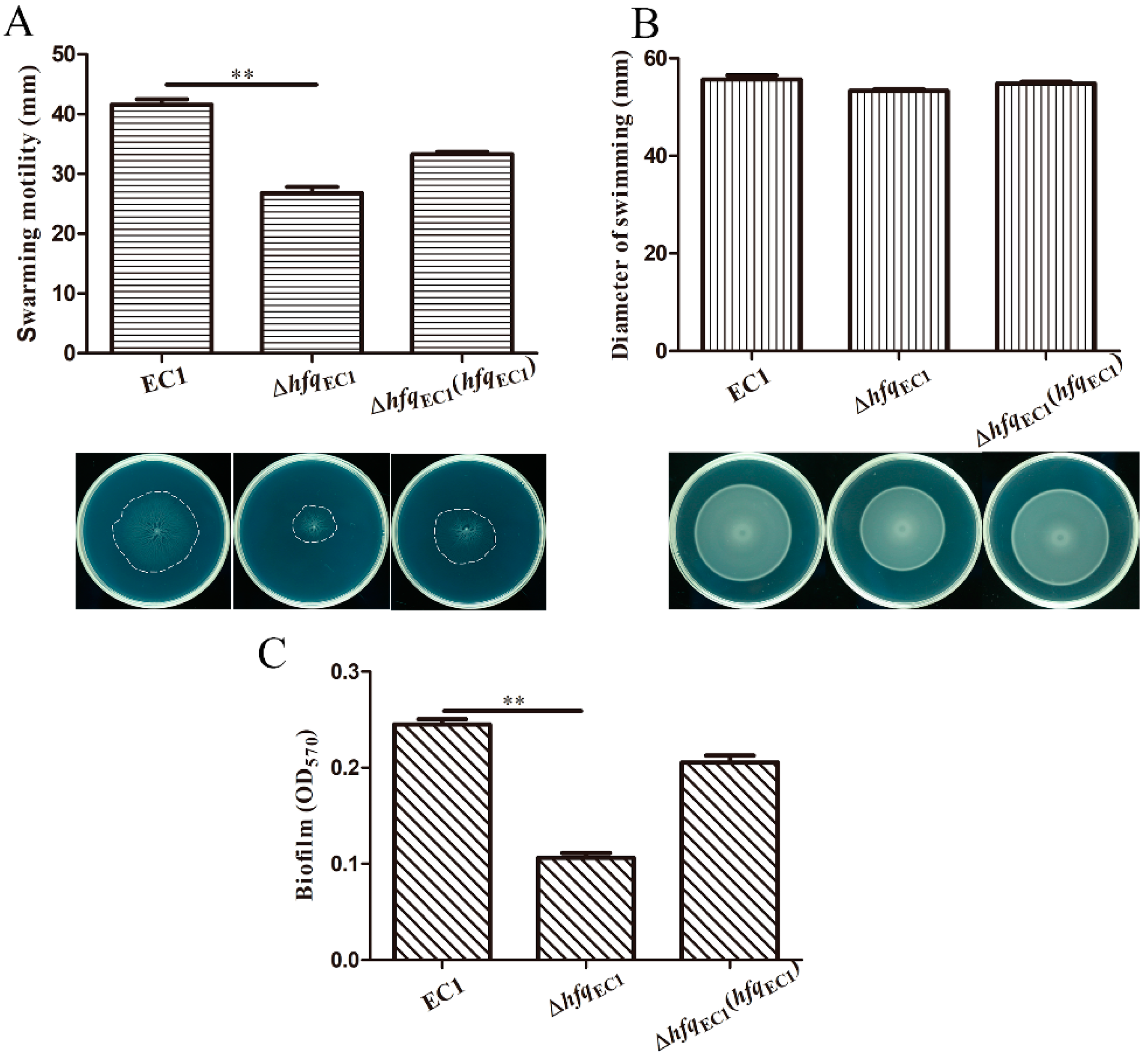 Microorganisms 10 01031 g003