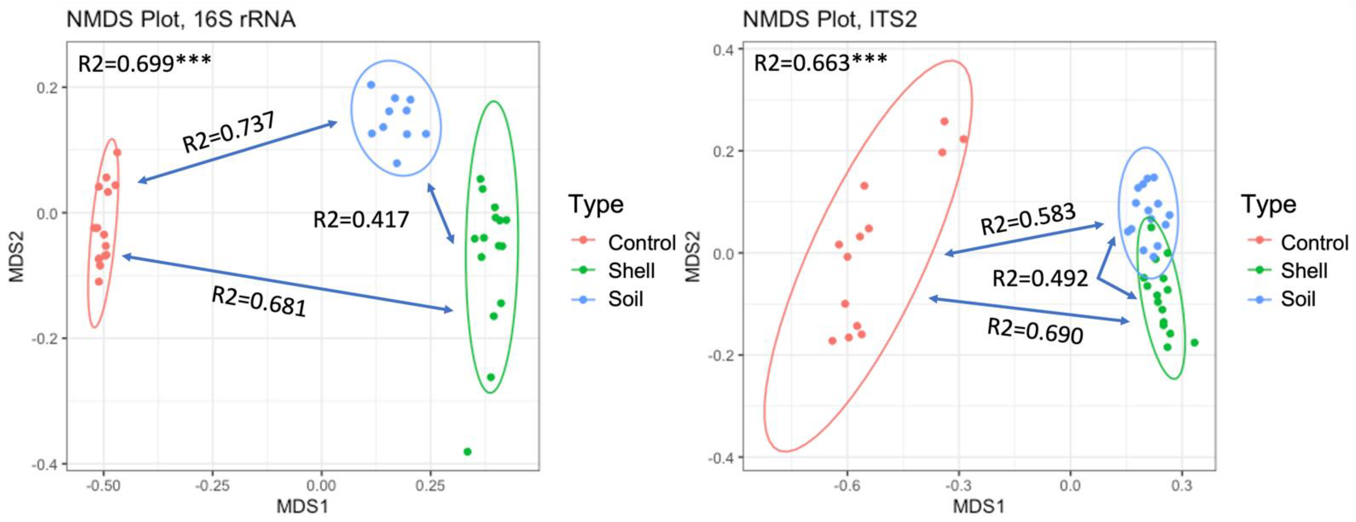 Microorganisms 10 01033 g001