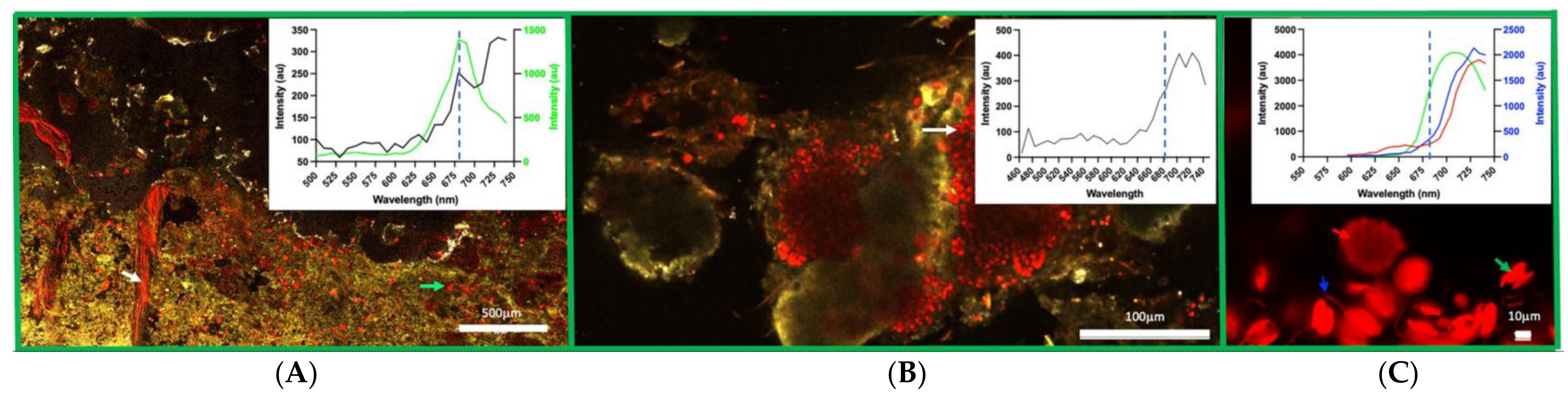Microorganisms 10 01035 g002