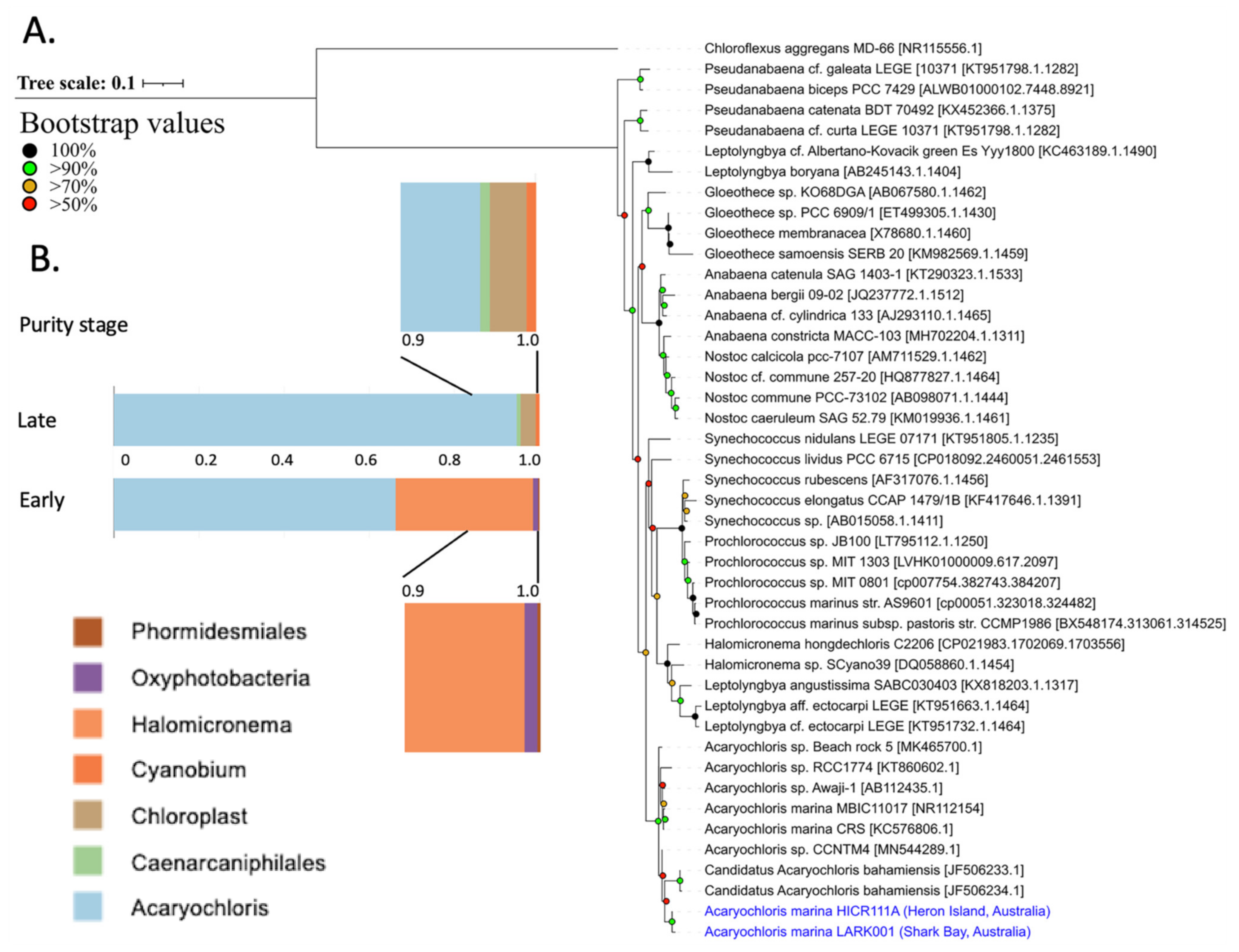 Microorganisms 10 01035 g003