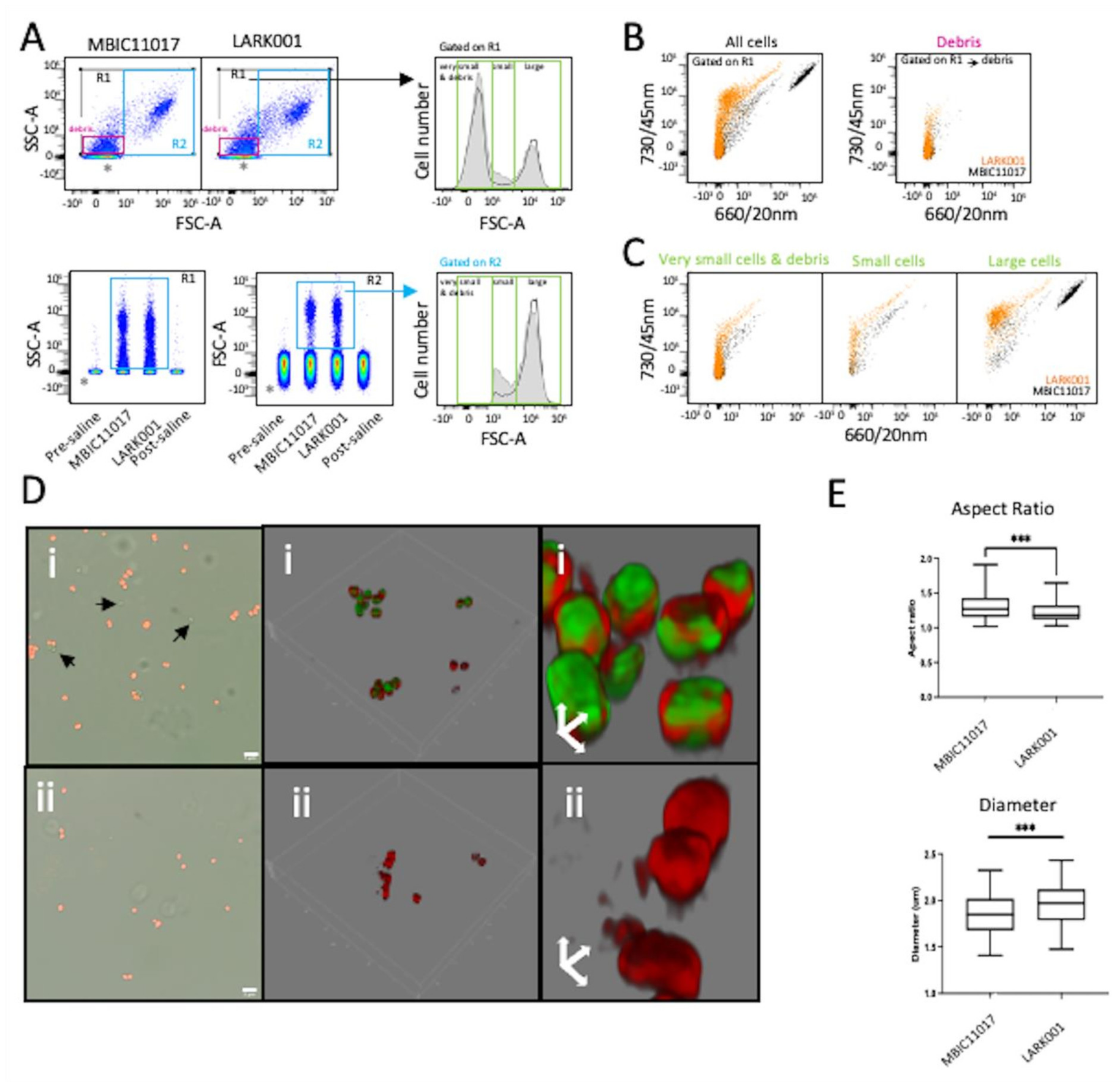 Microorganisms 10 01035 g005