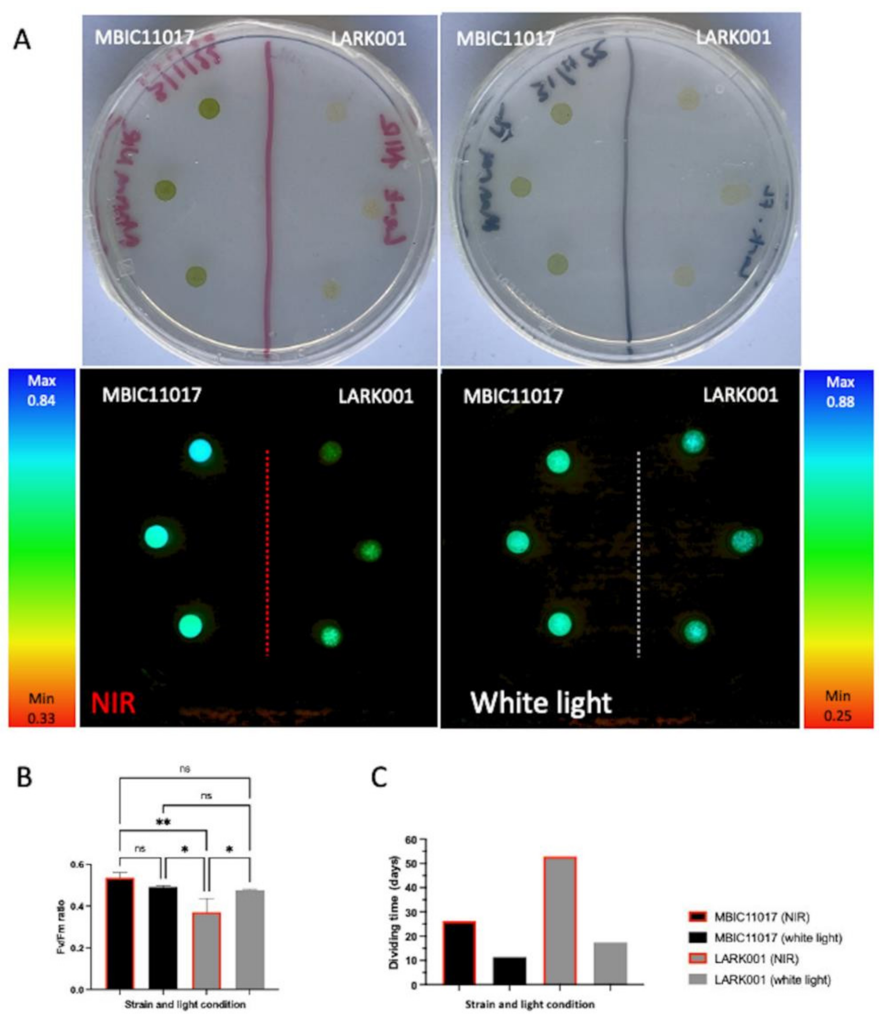 Microorganisms 10 01035 g006