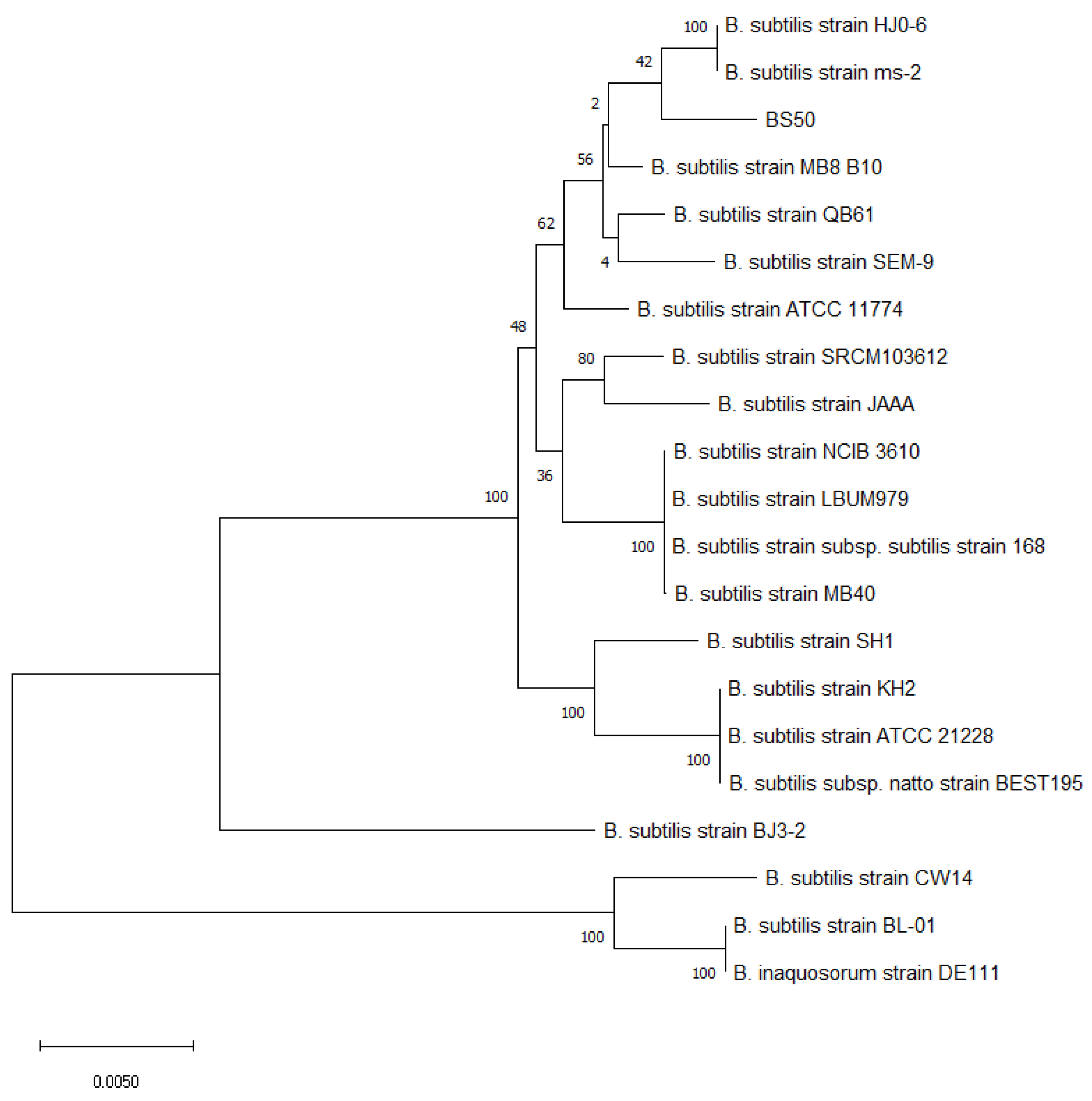 Microorganisms 10 01038 g001
