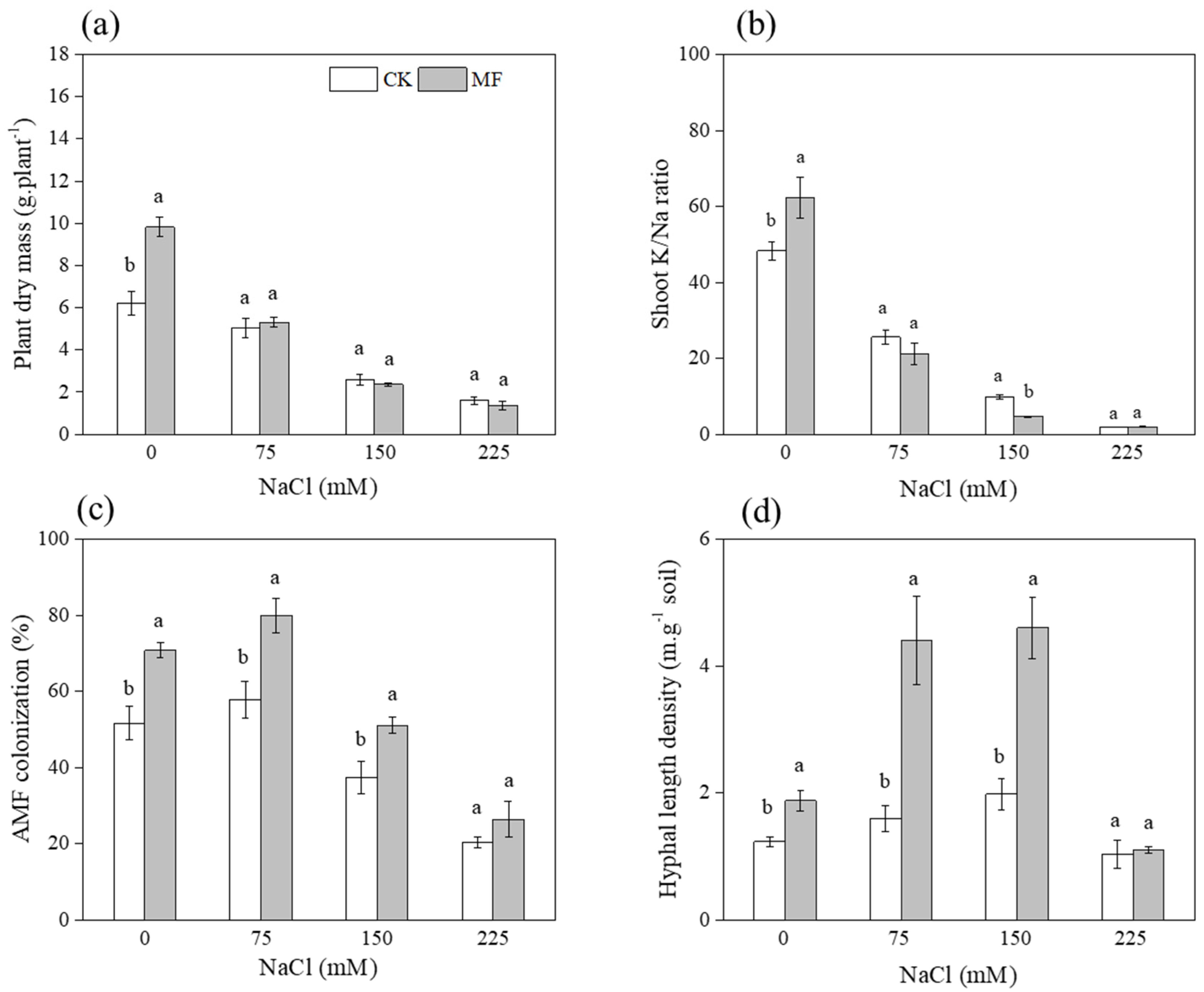 Microorganisms 10 01042 g001