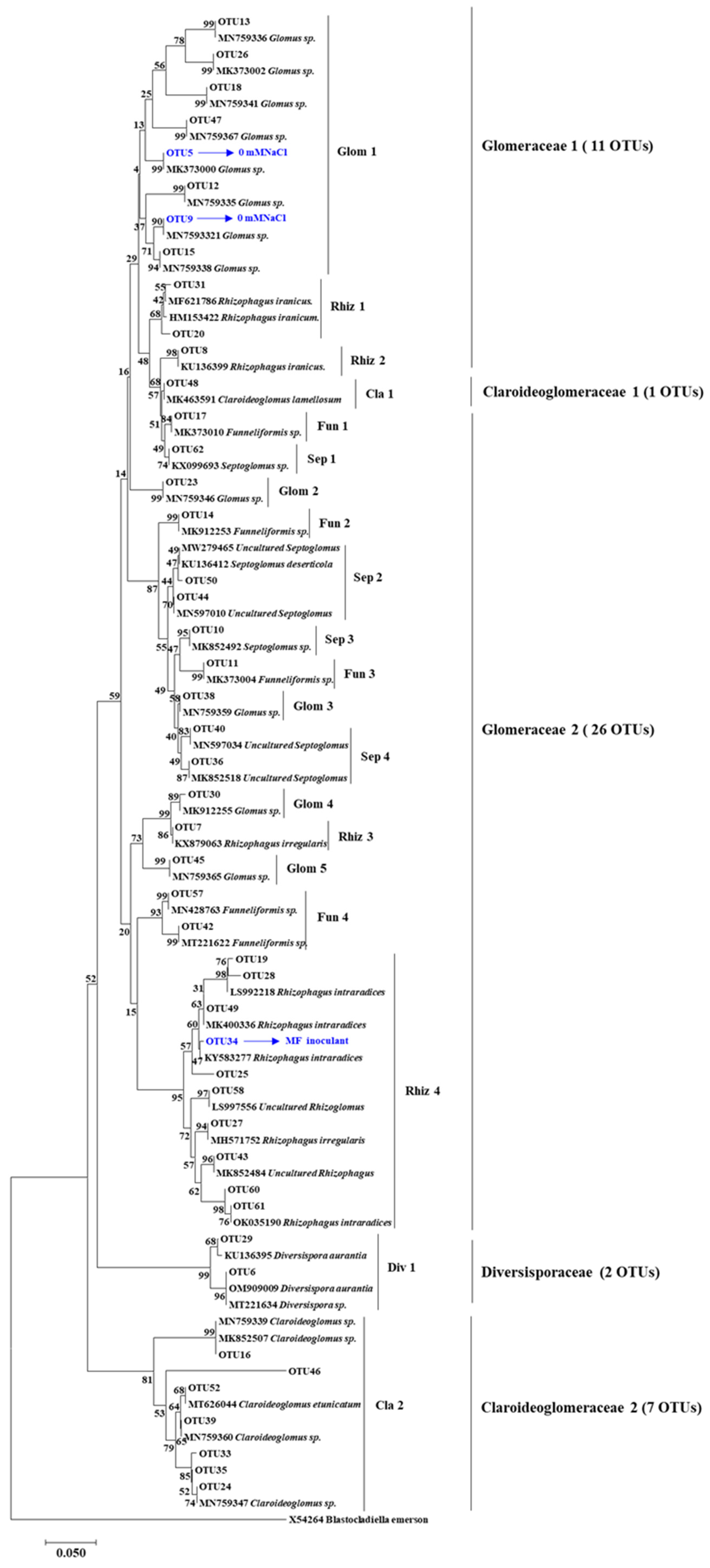 Microorganisms 10 01042 g002