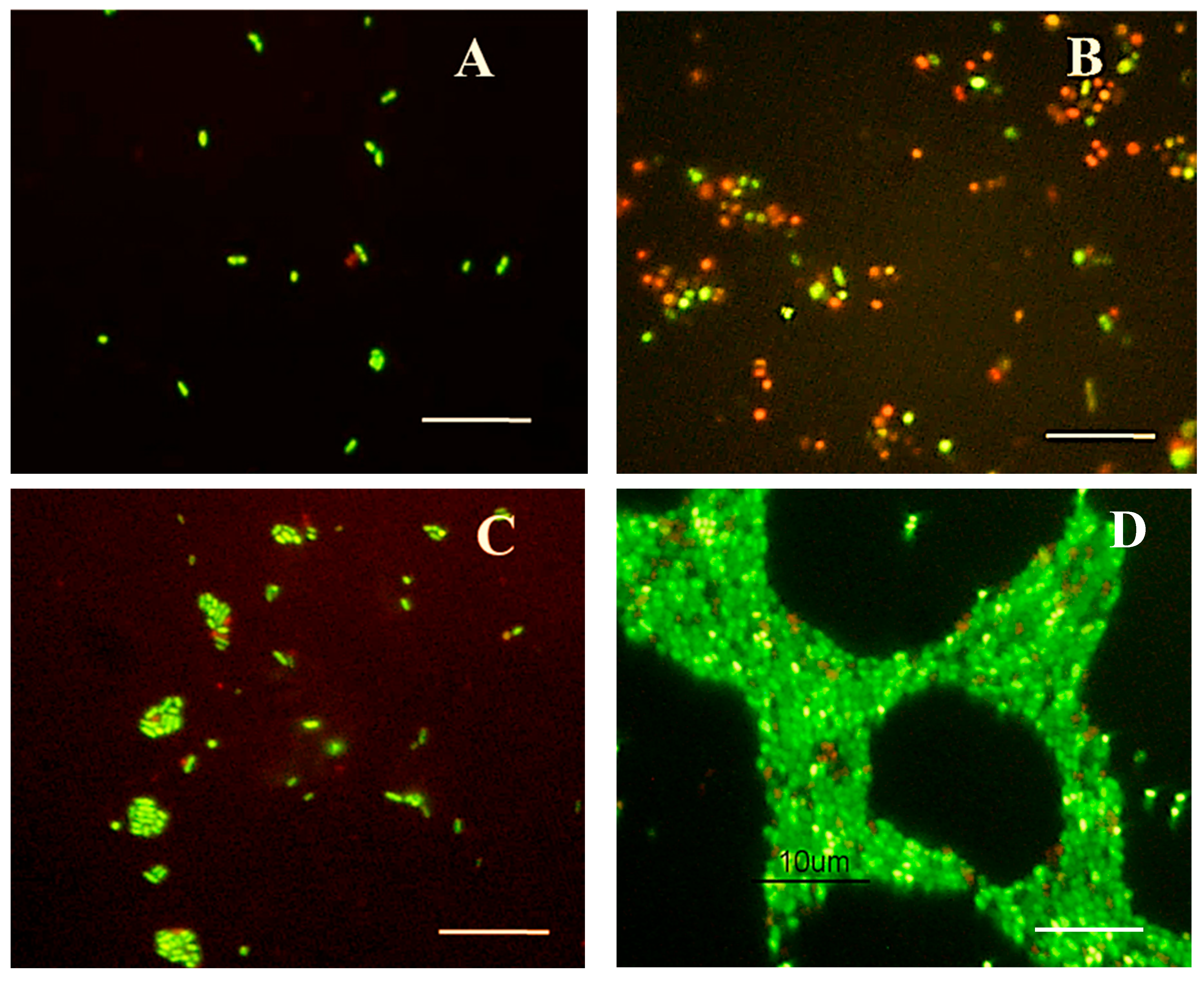 Microorganisms 10 01043 g004 Microorganisms 10 01043 g004