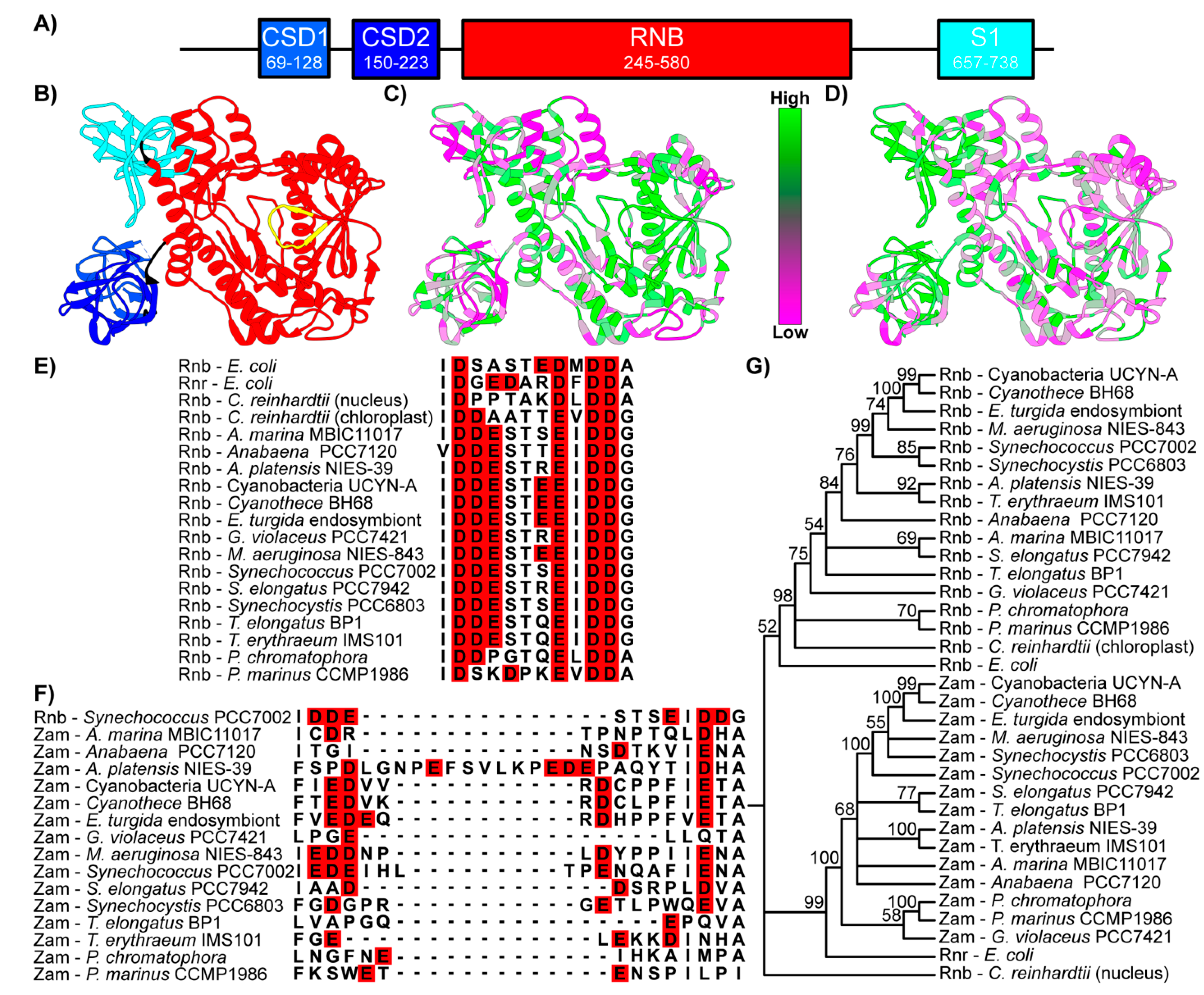 Microorganisms 10 01055 g001 Microorganisms 10 01055 g001