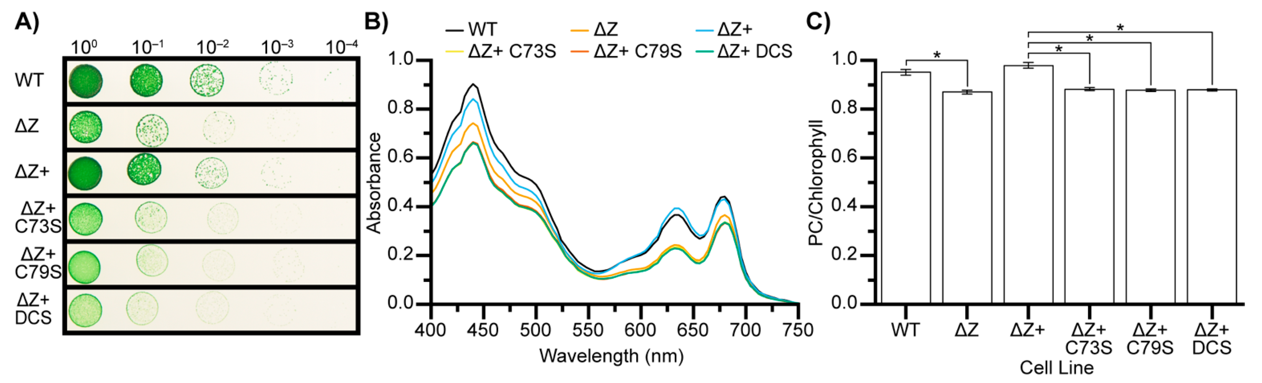Microorganisms 10 01055 g004 Microorganisms 10 01055 g004