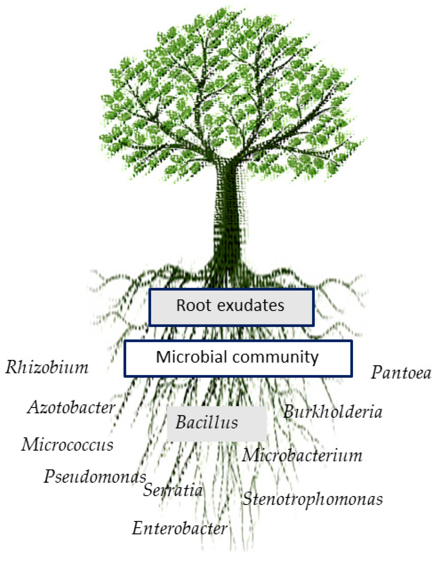Microorganisms 10 01057 g001 Microorganisms 10 01057 g001