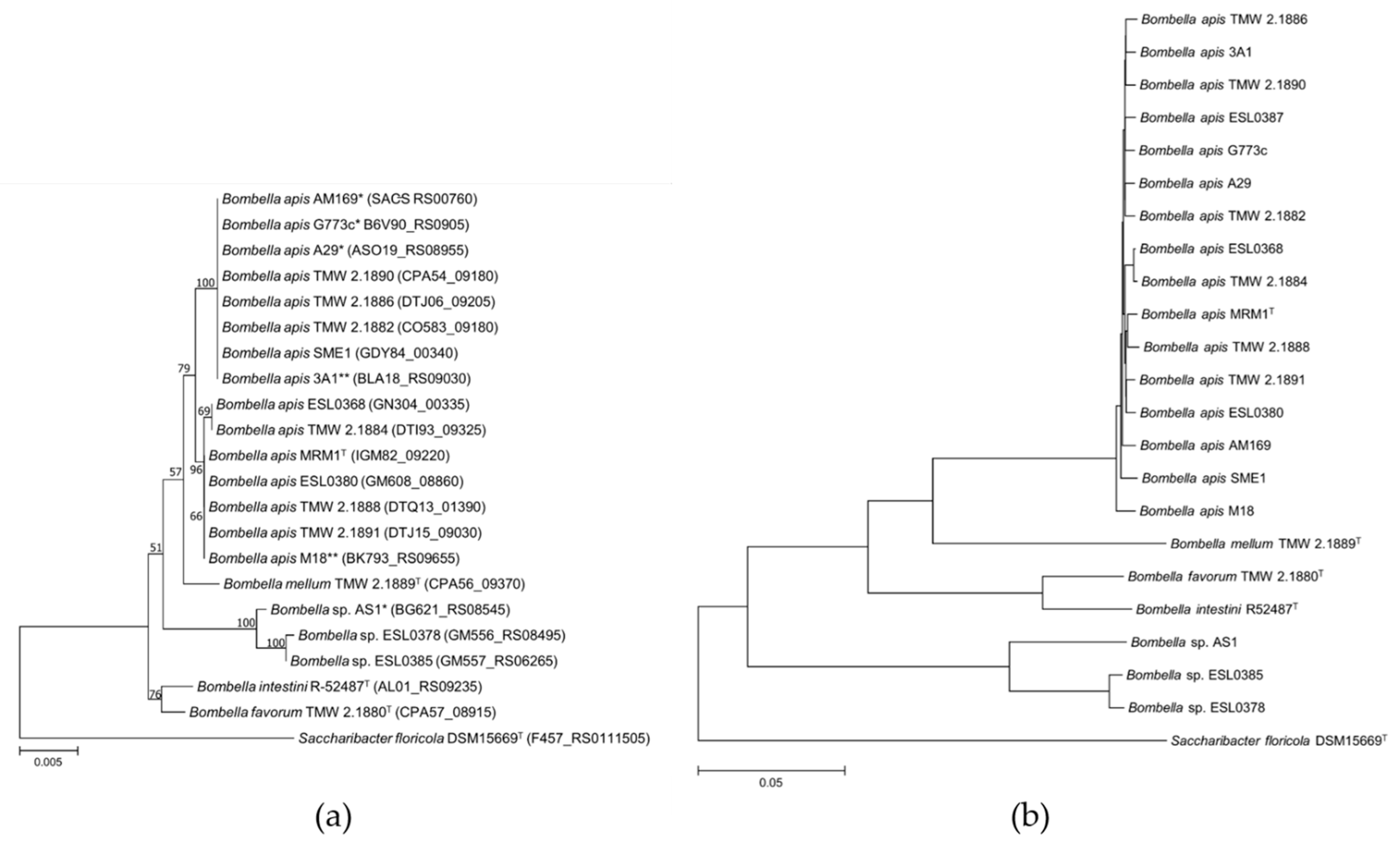Microorganisms 10 01058 g001