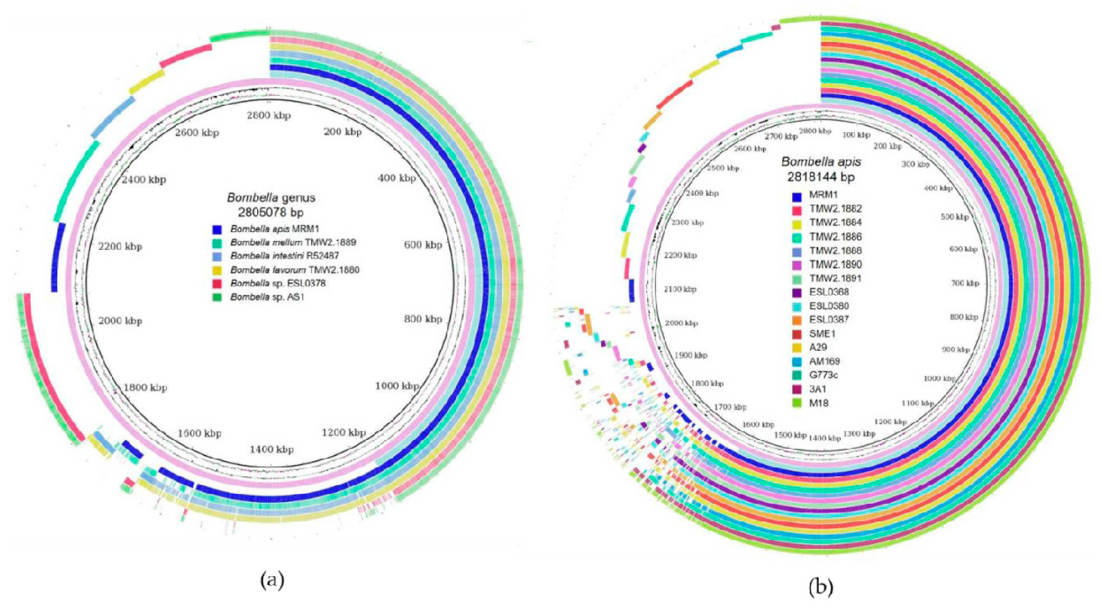Microorganisms 10 01058 g002
