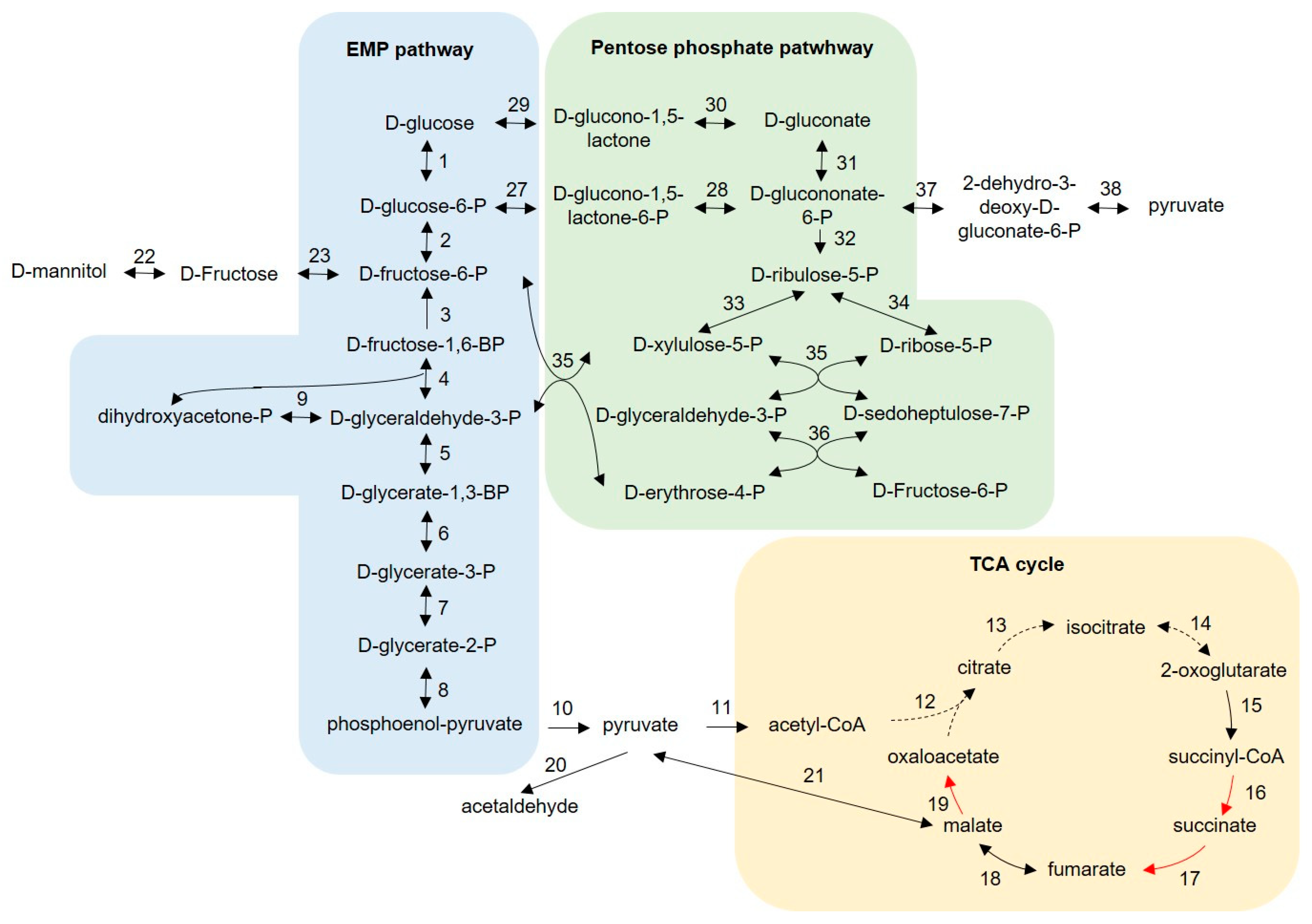 Microorganisms 10 01058 g003