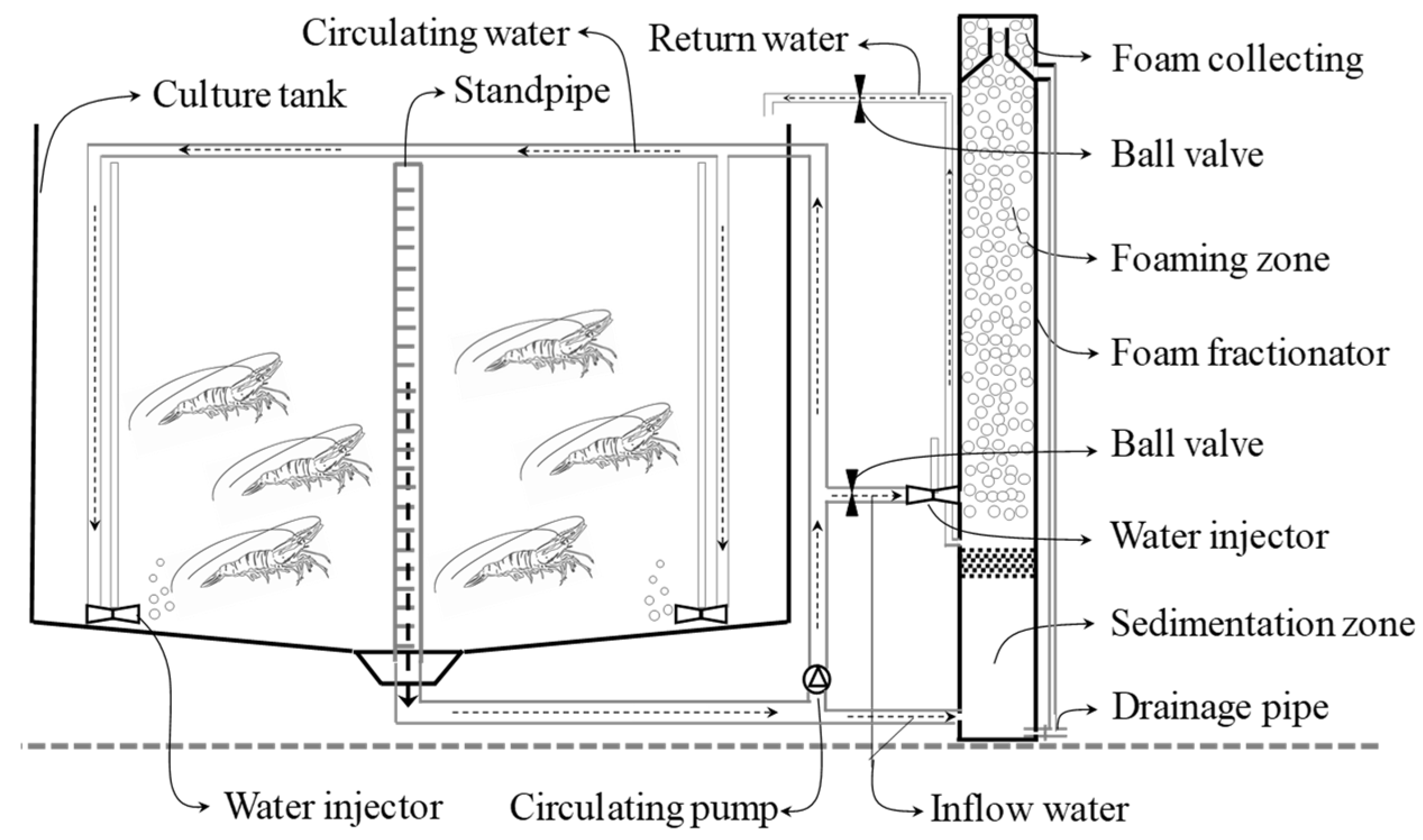 Microorganisms 10 01060 g001 550