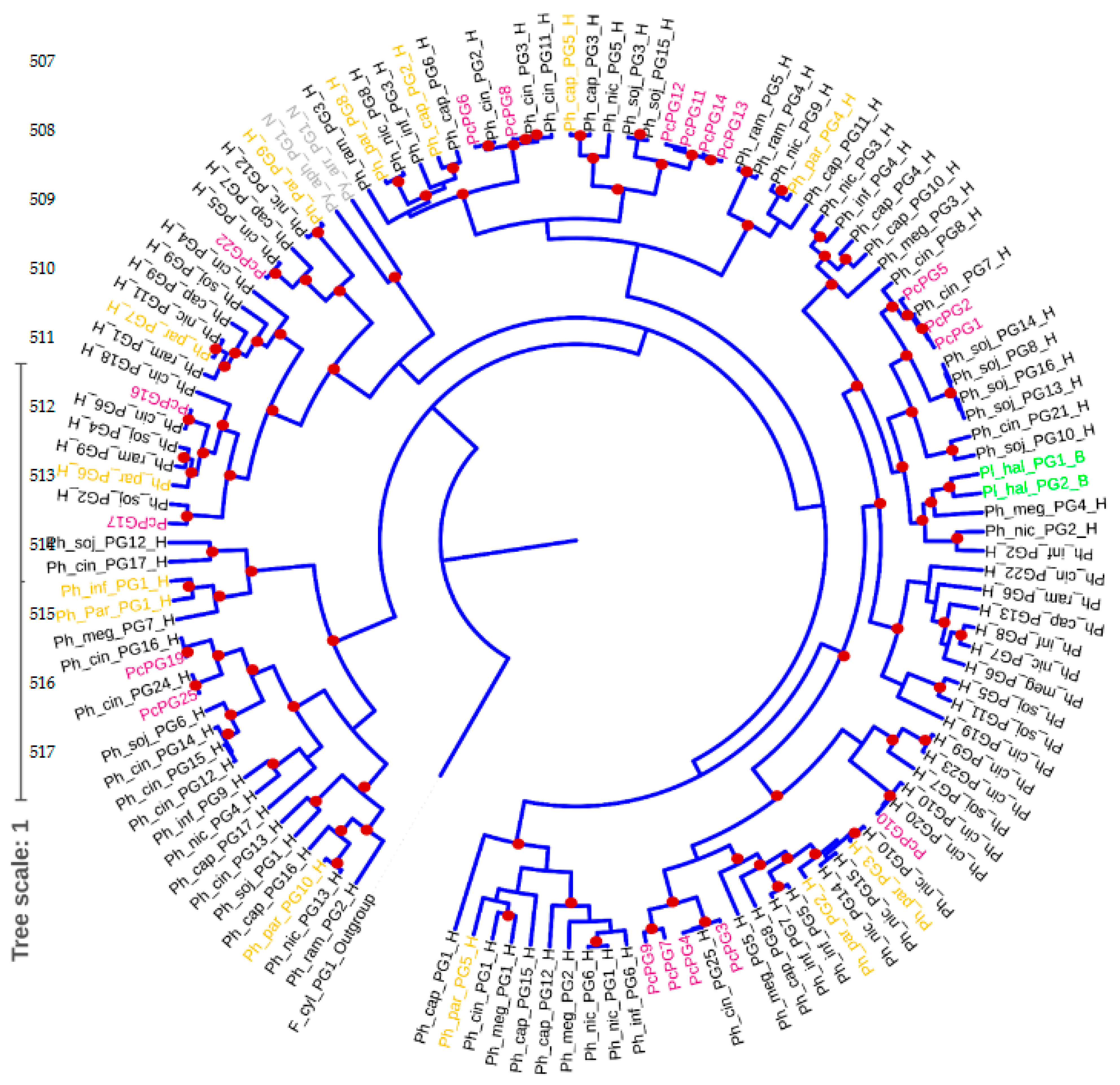 Microorganisms 10 01061 g002